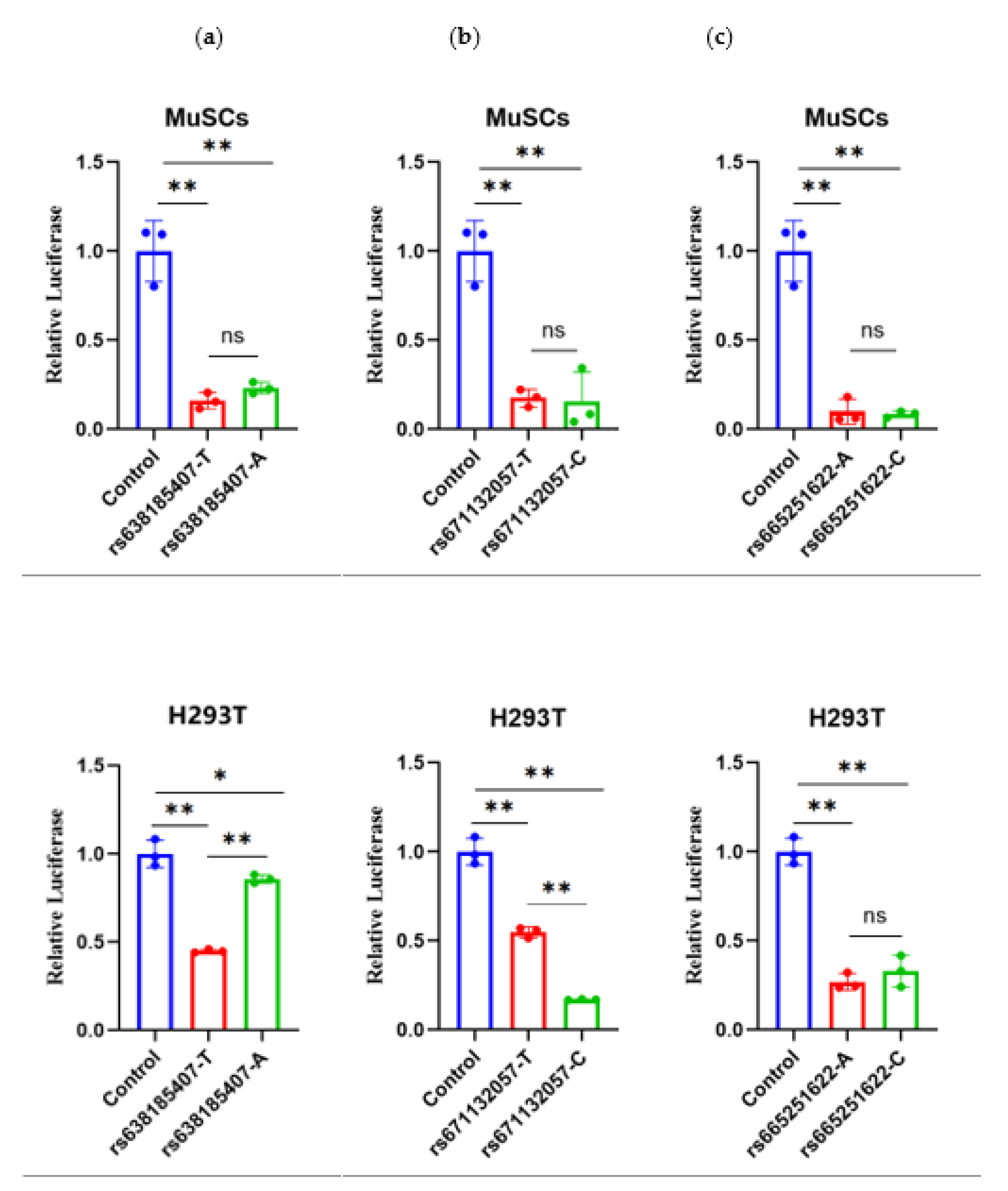 Preprints 108894 g004