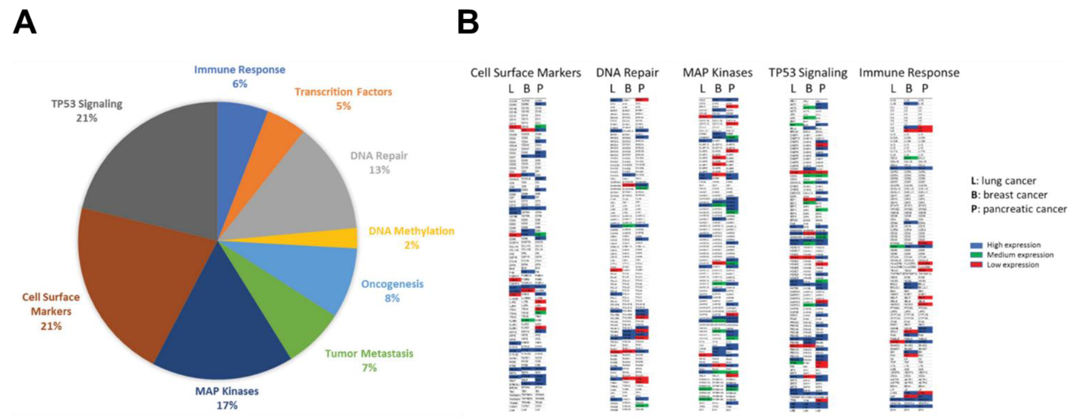 Preprints 108093 g001