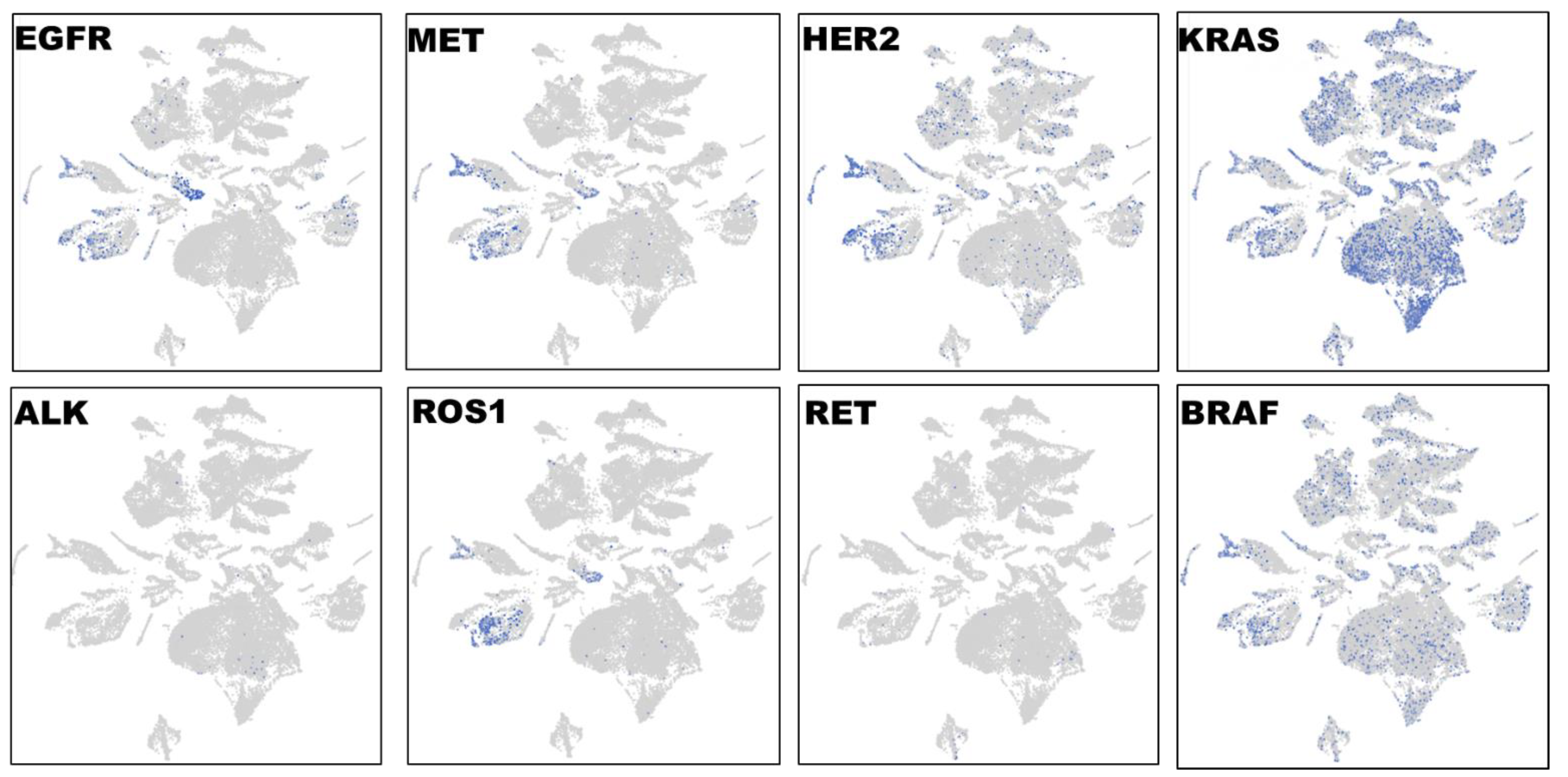 Preprints 108093 g004