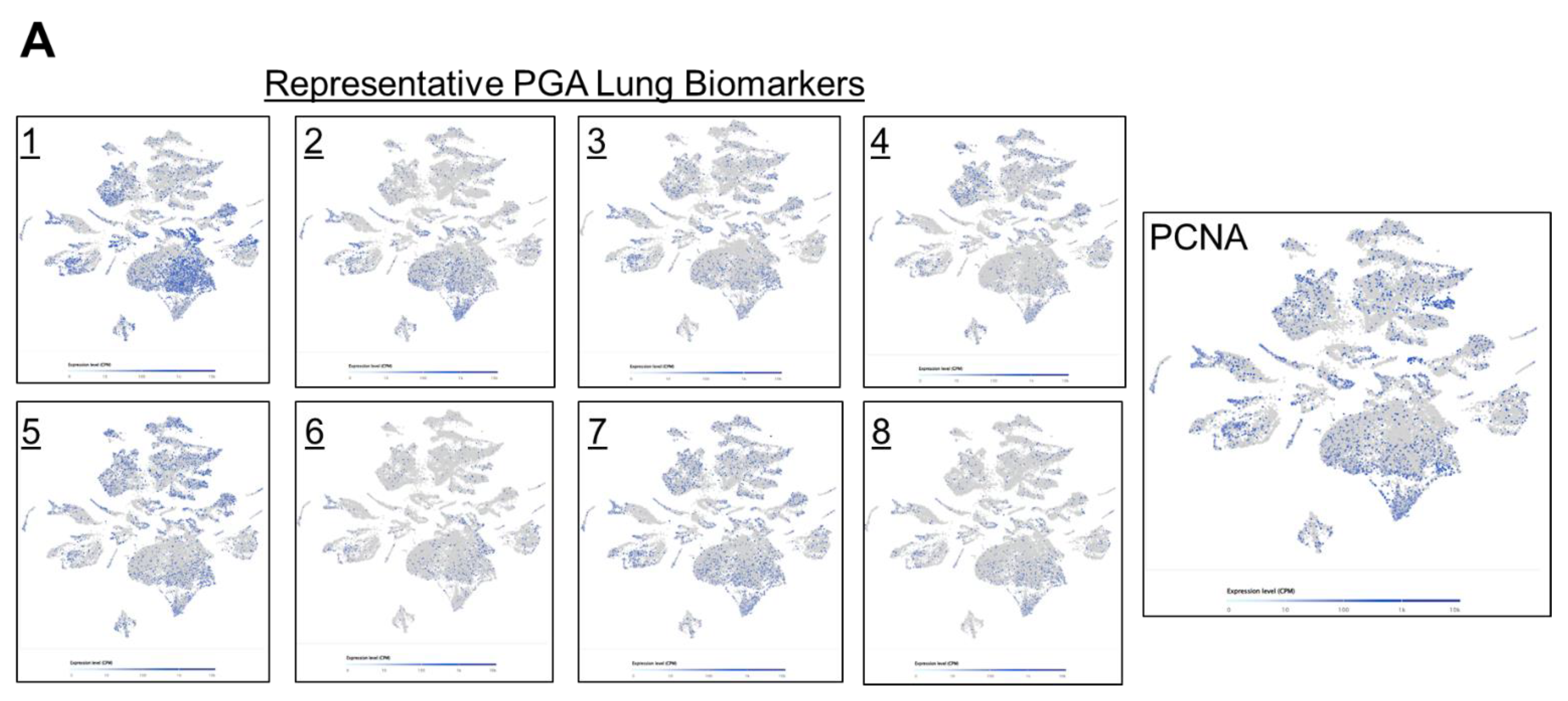 Preprints 108093 g005a