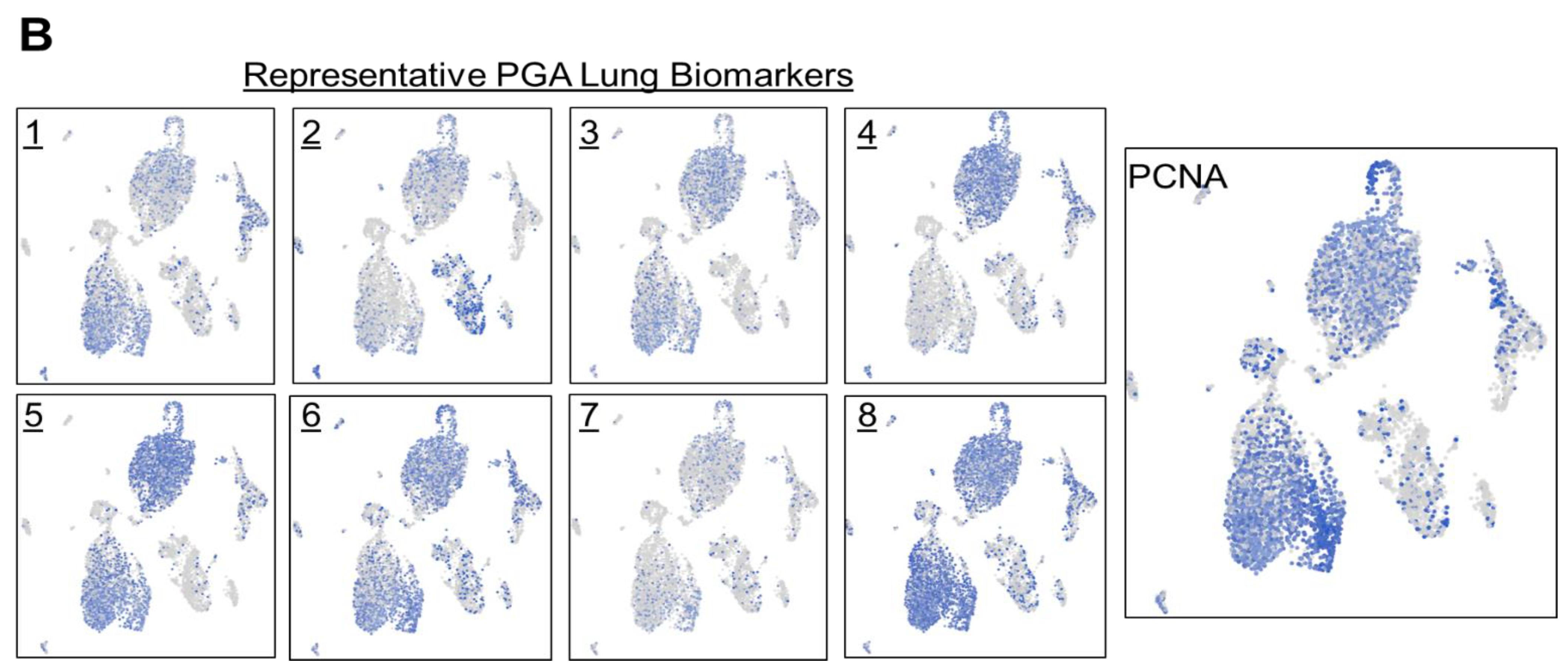 Preprints 108093 g005b