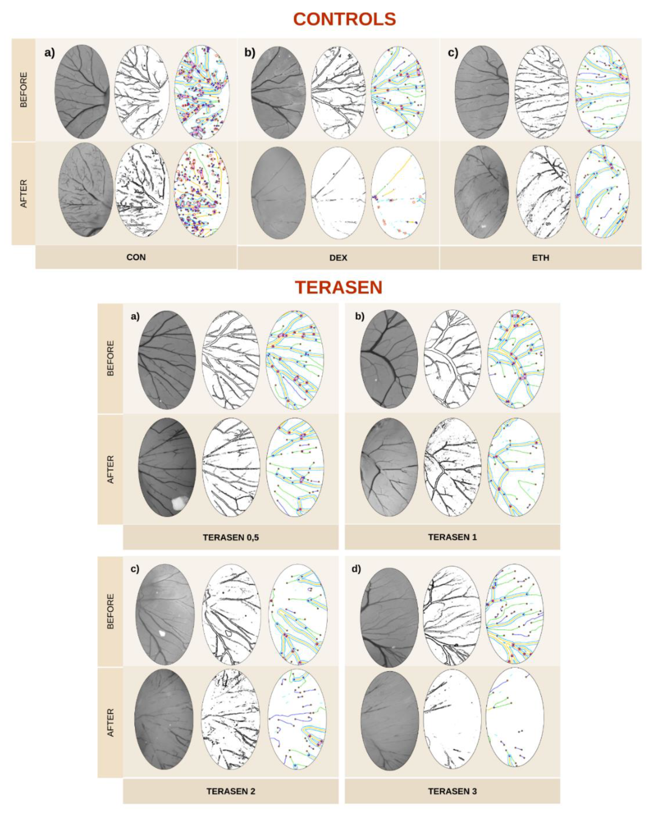 Preprints 86620 g005