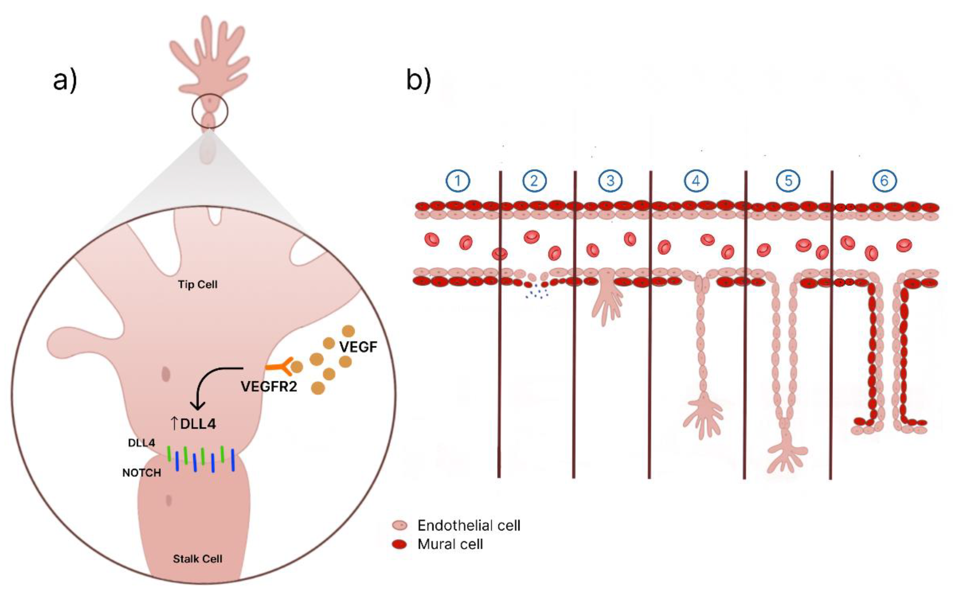 Preprints 86620 g007