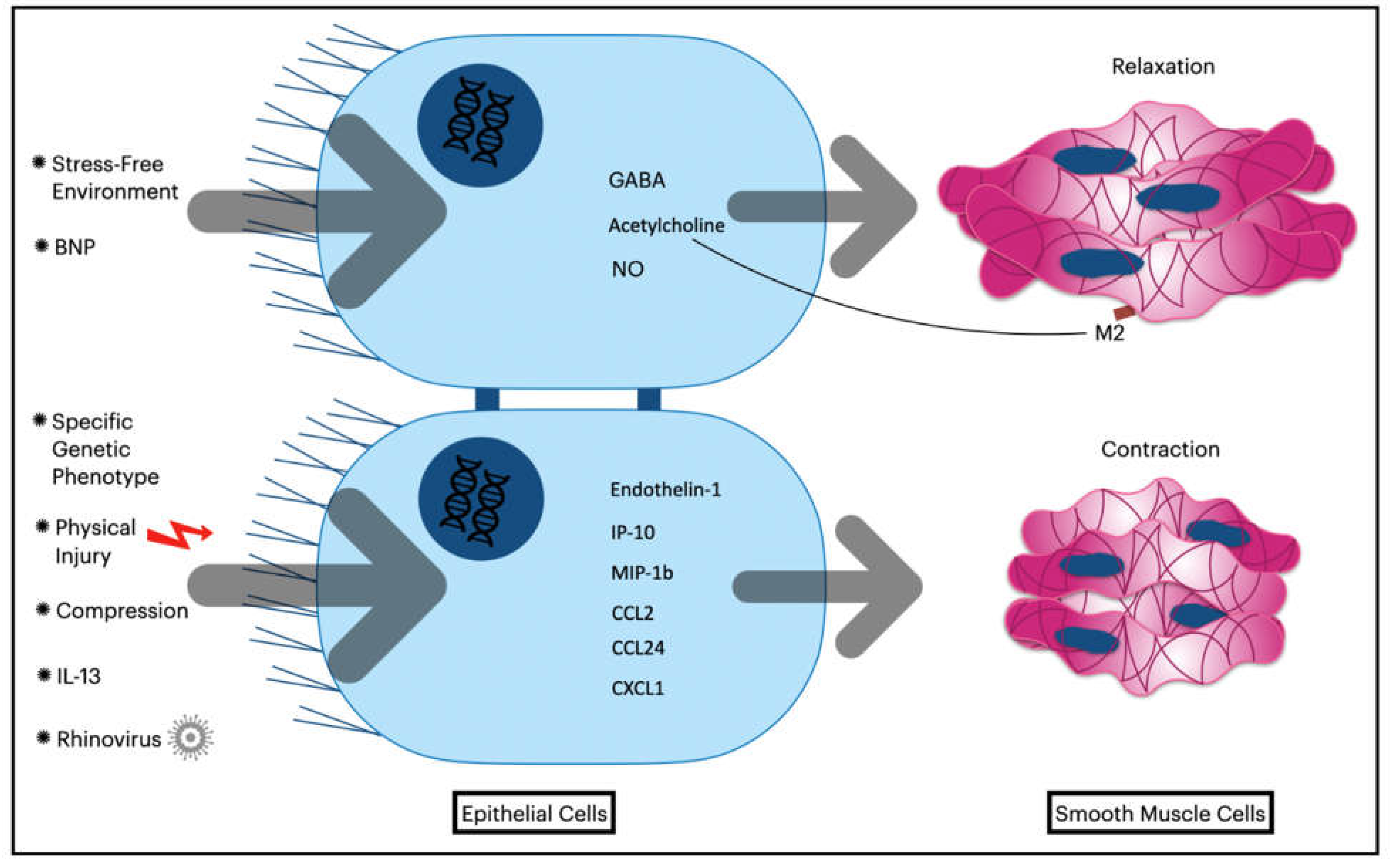 Preprints 76354 g002