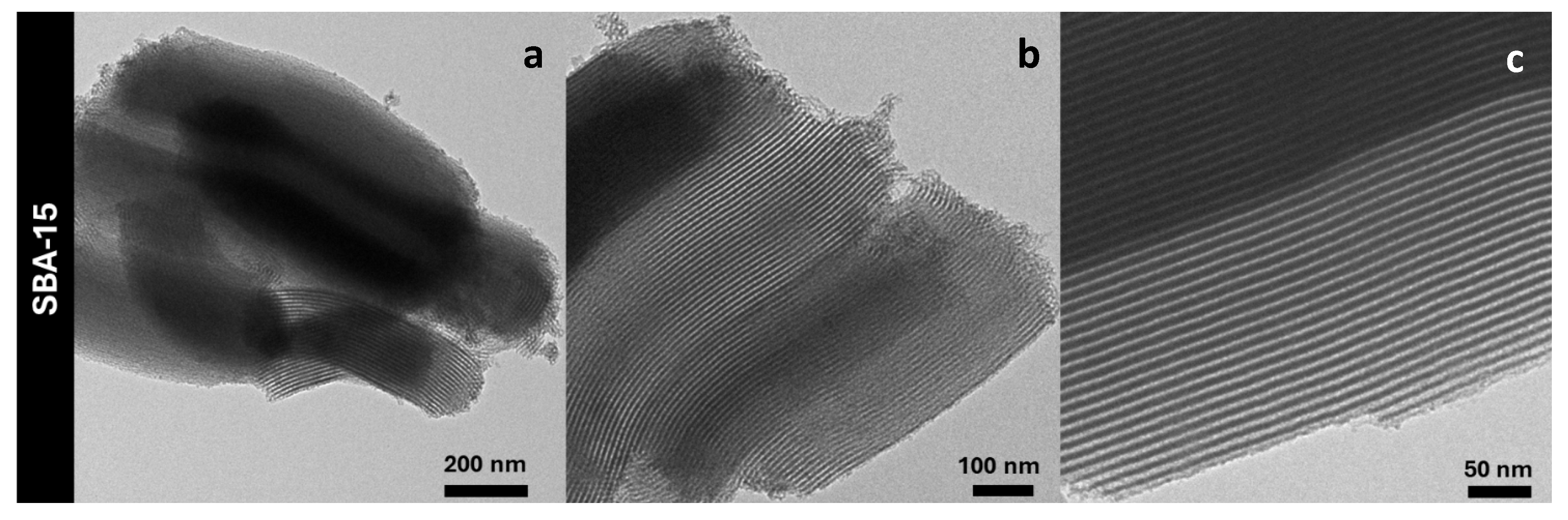 Preprints 114155 g004