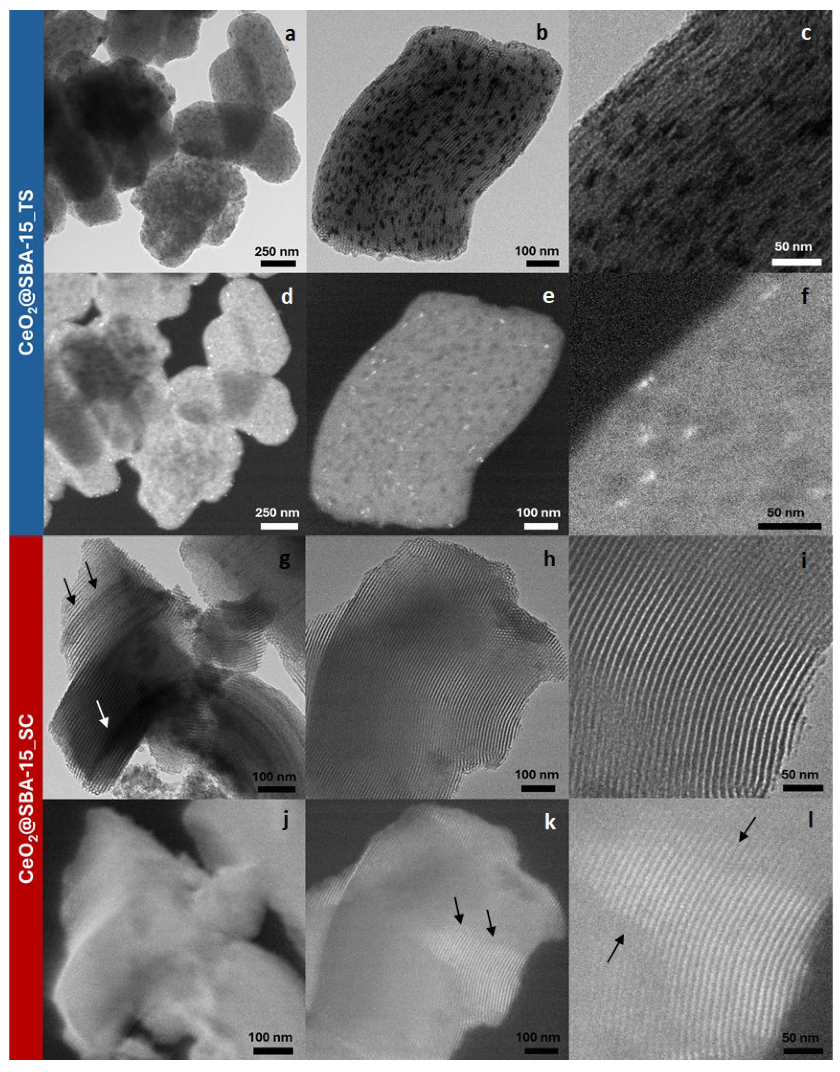 Preprints 114155 g005