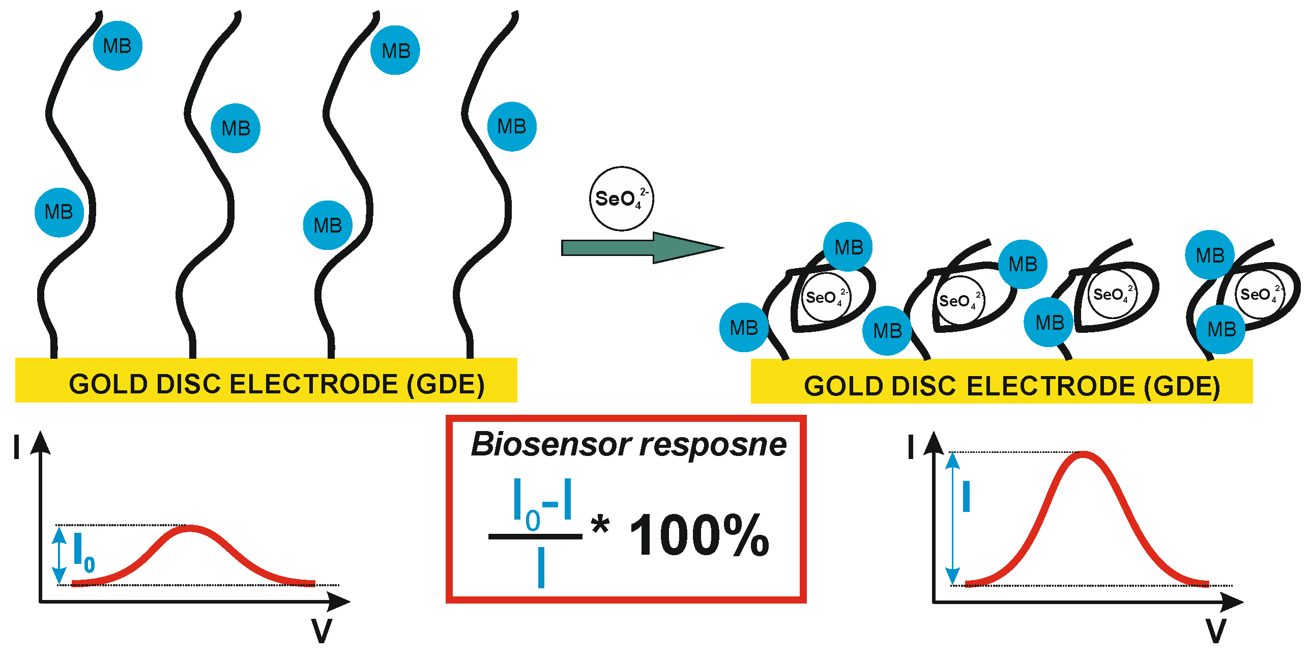 Preprints 107494 g001