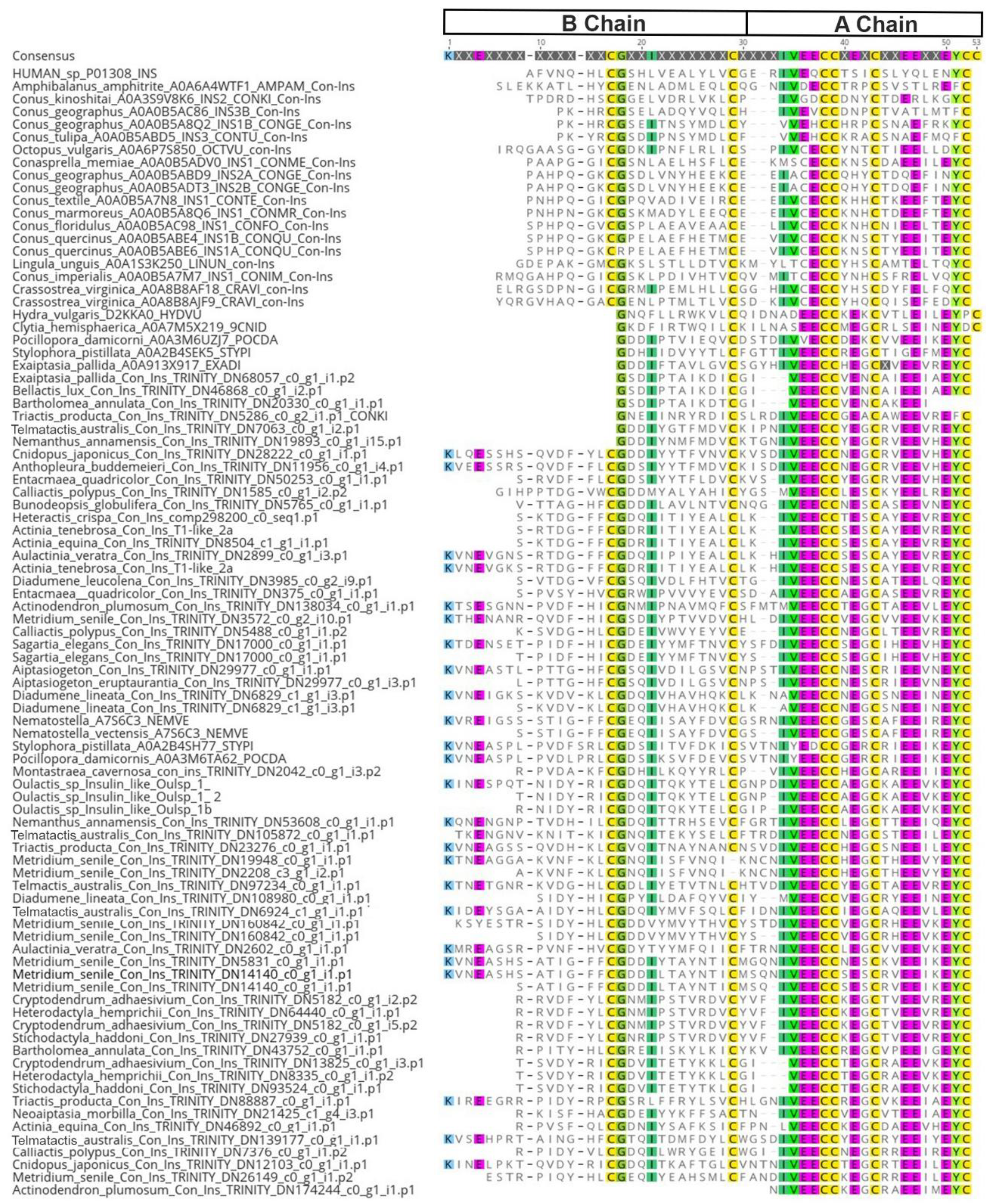 Preprints 98574 g001