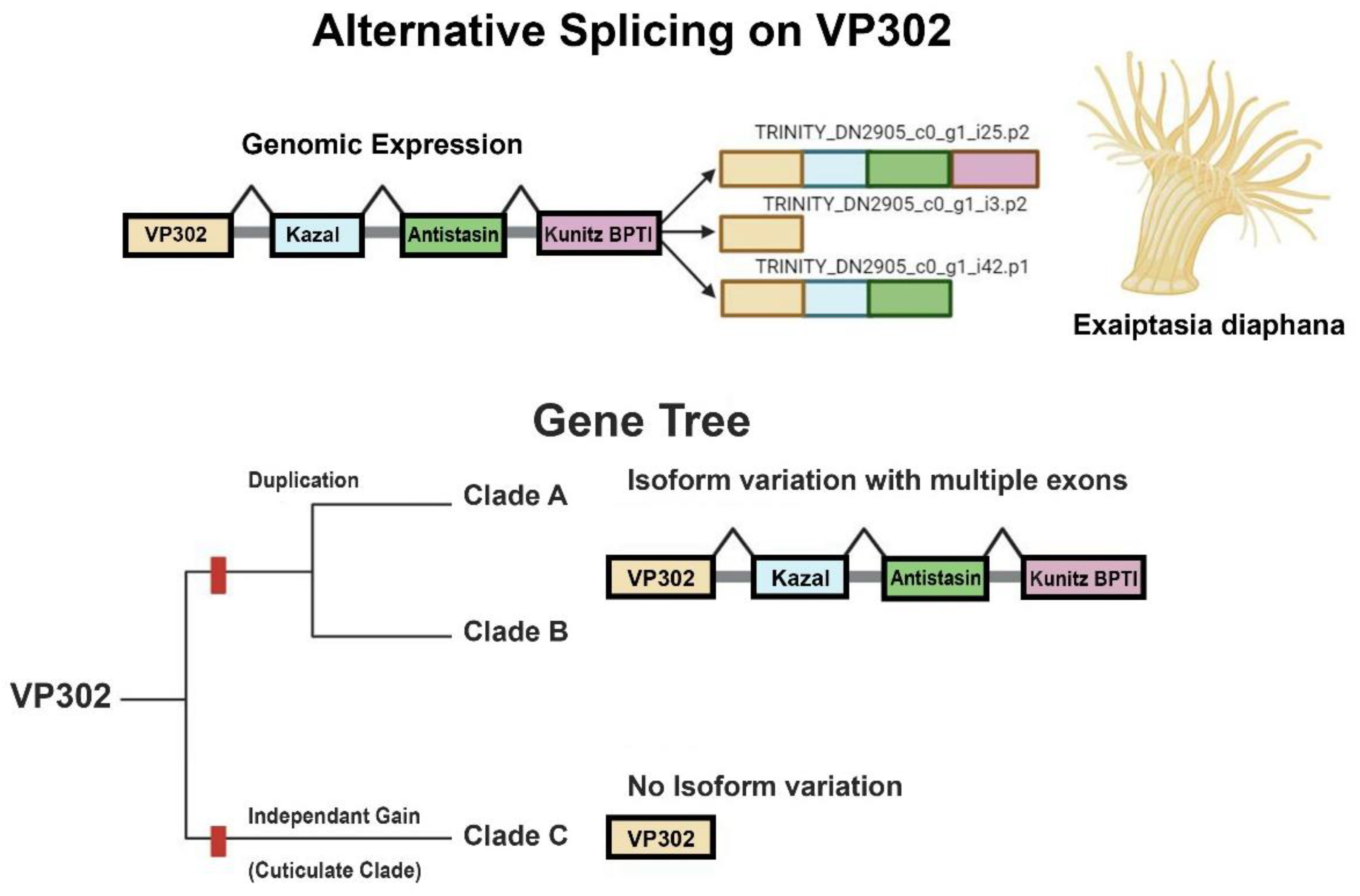 Preprints 98574 g002