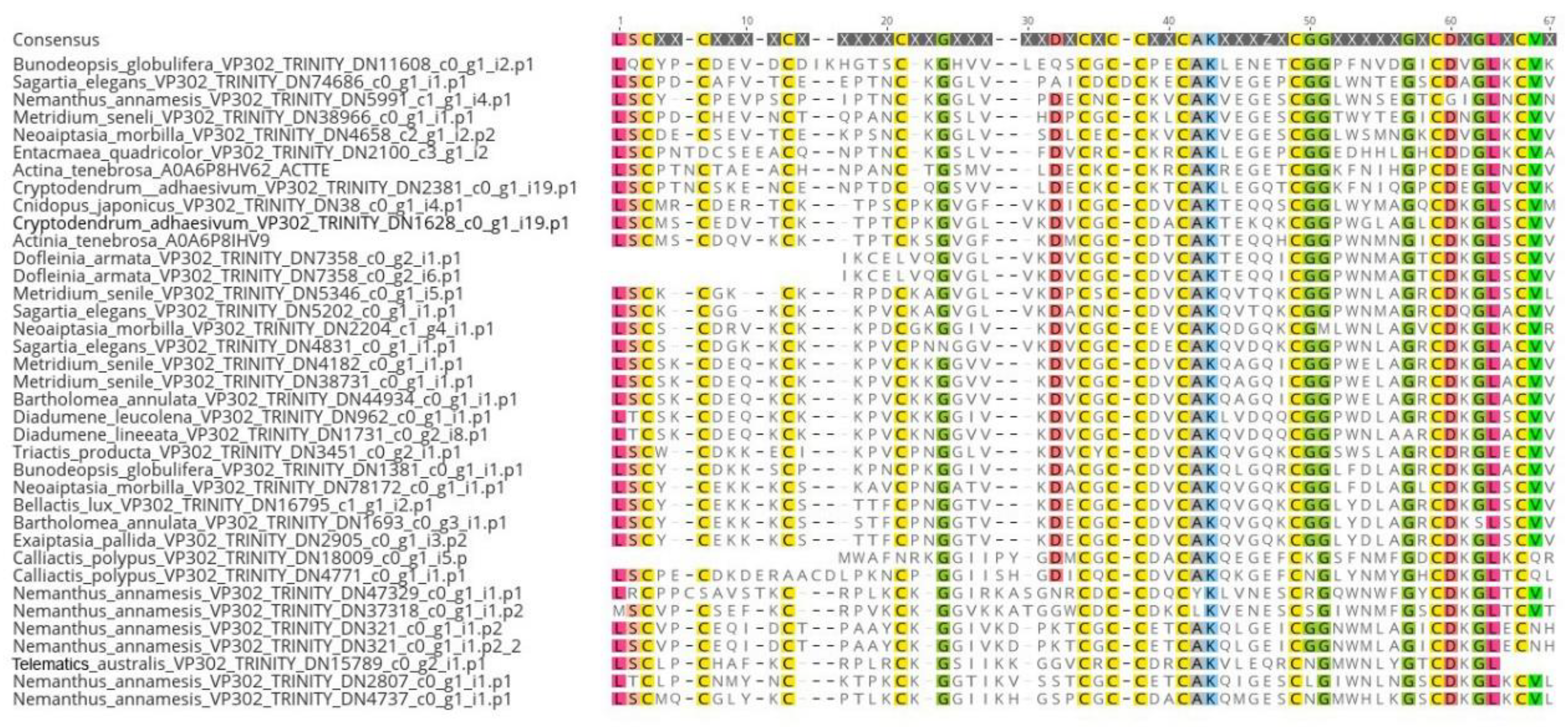 Preprints 98574 g003