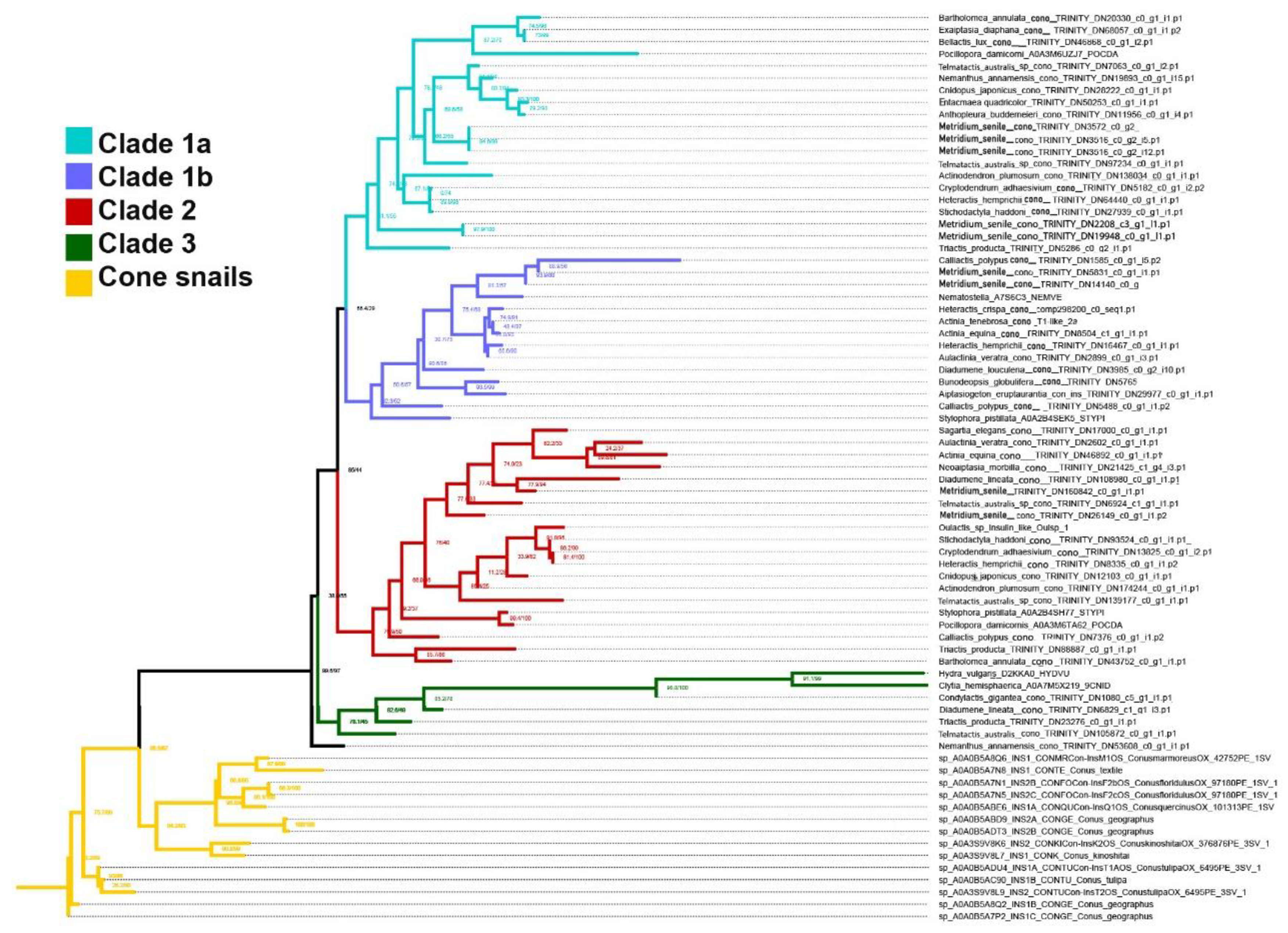 Preprints 98574 g004