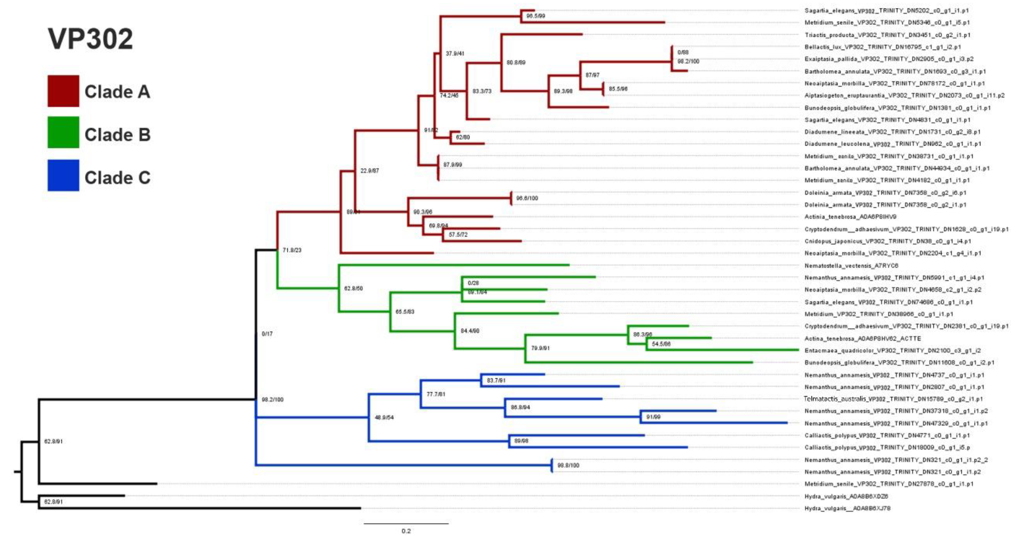 Preprints 98574 g005