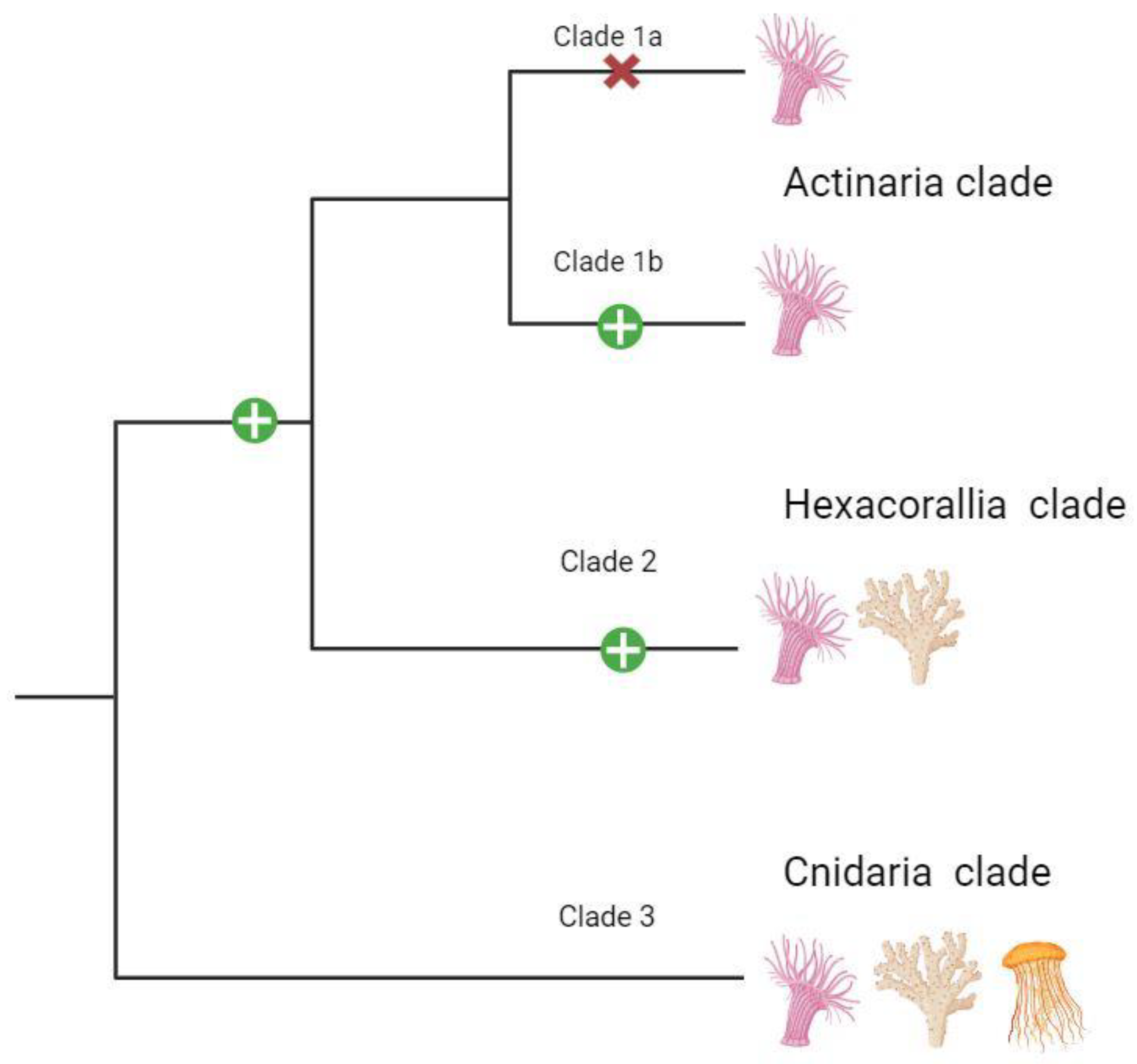 Preprints 98574 g007