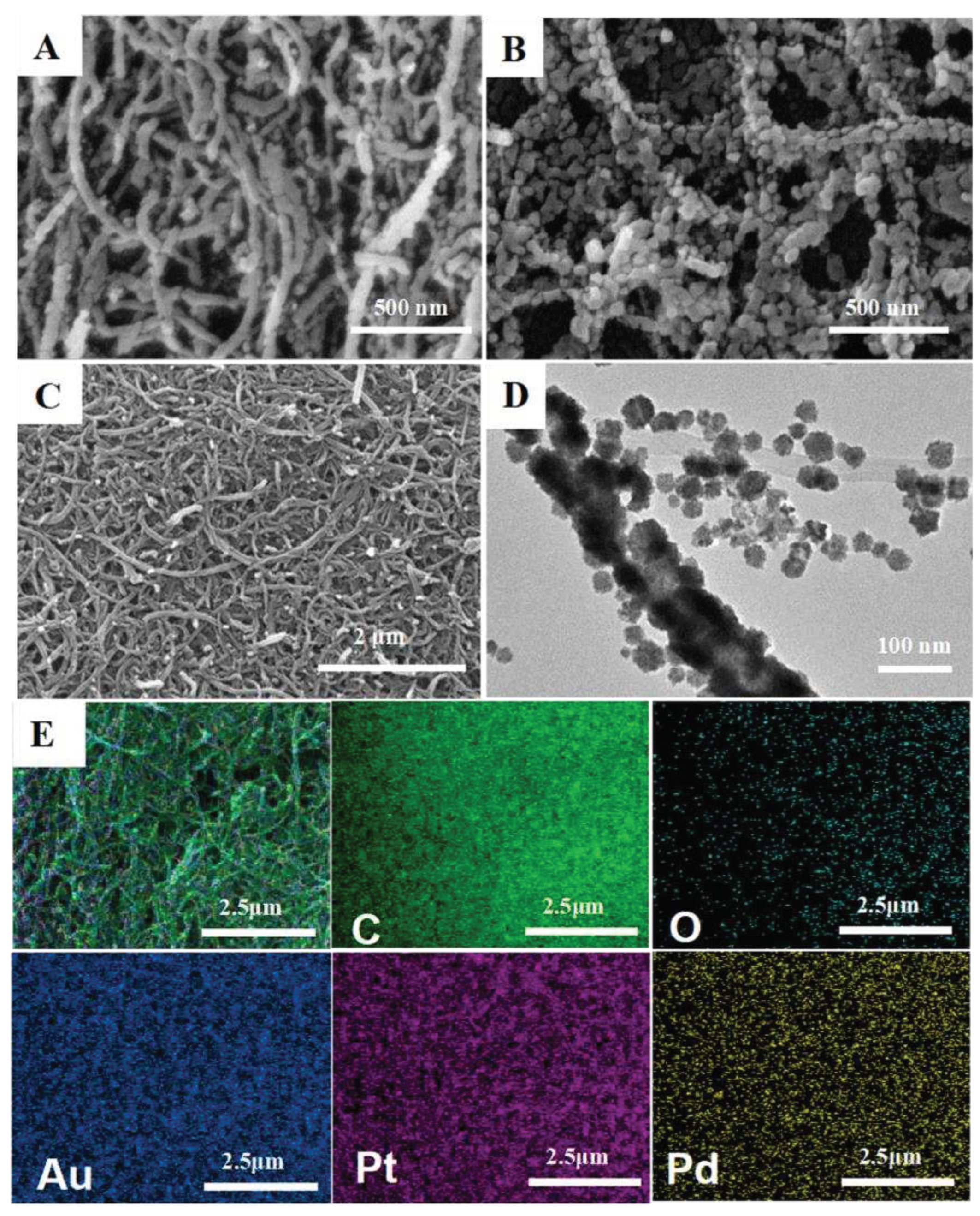 Preprints 71795 g002