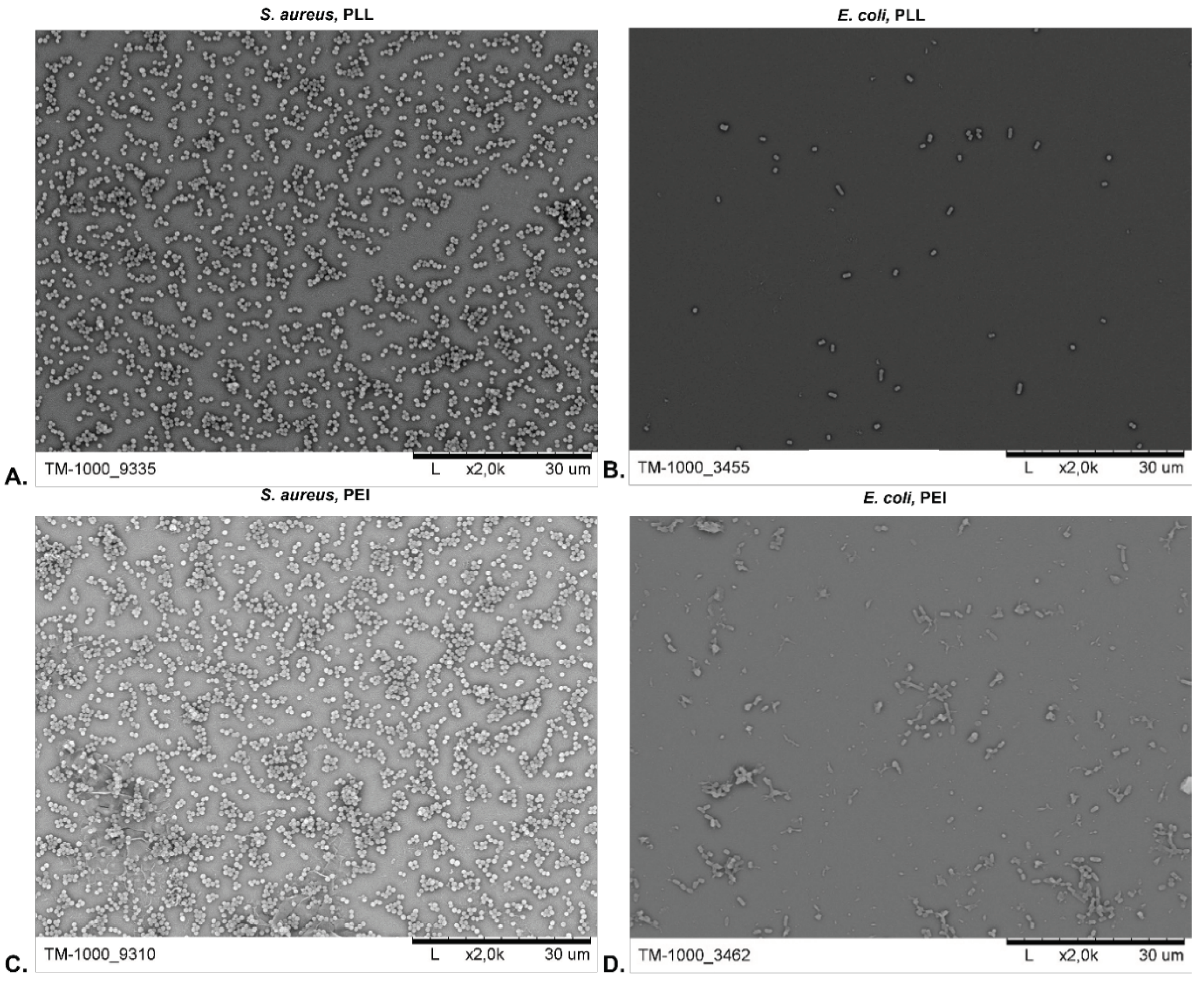 Preprints 97448 g002