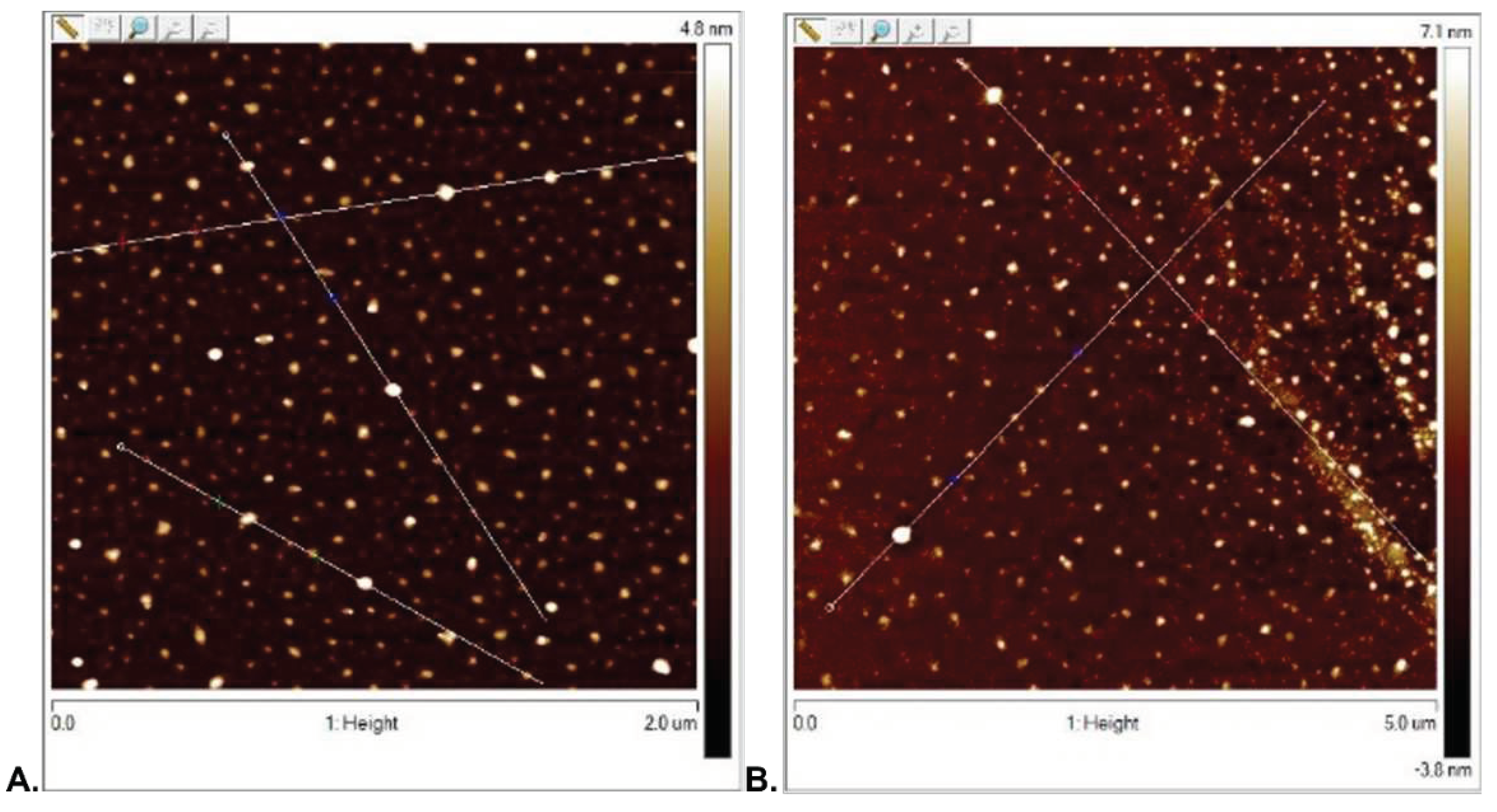 Preprints 97448 g005