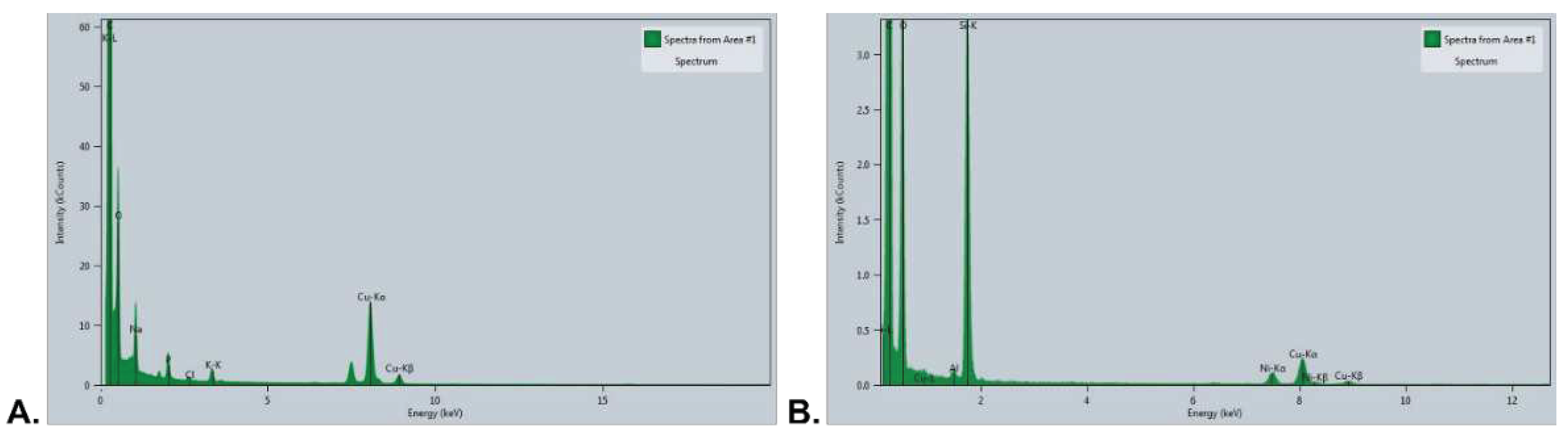 Preprints 97448 g007