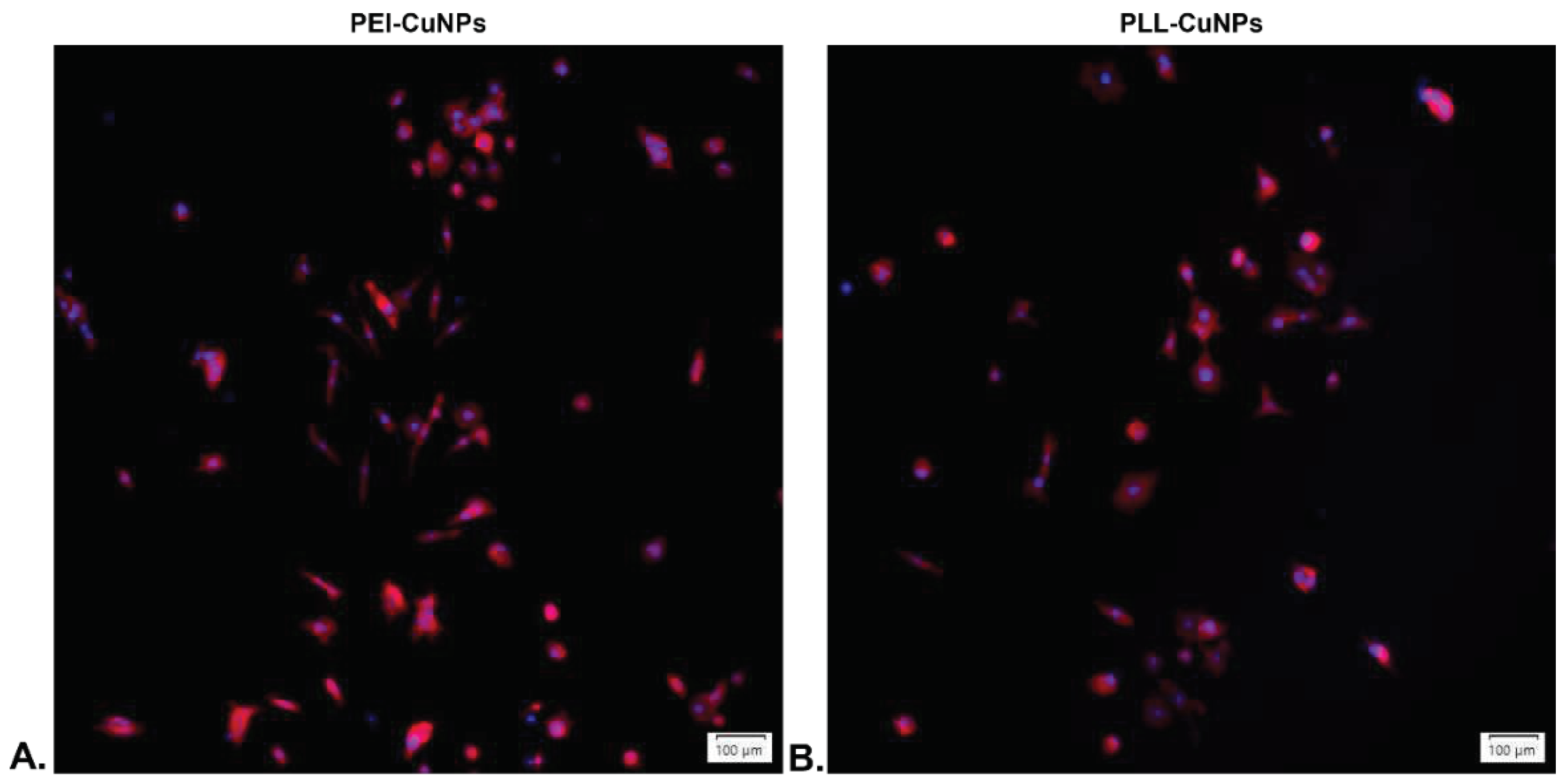 Preprints 97448 g011