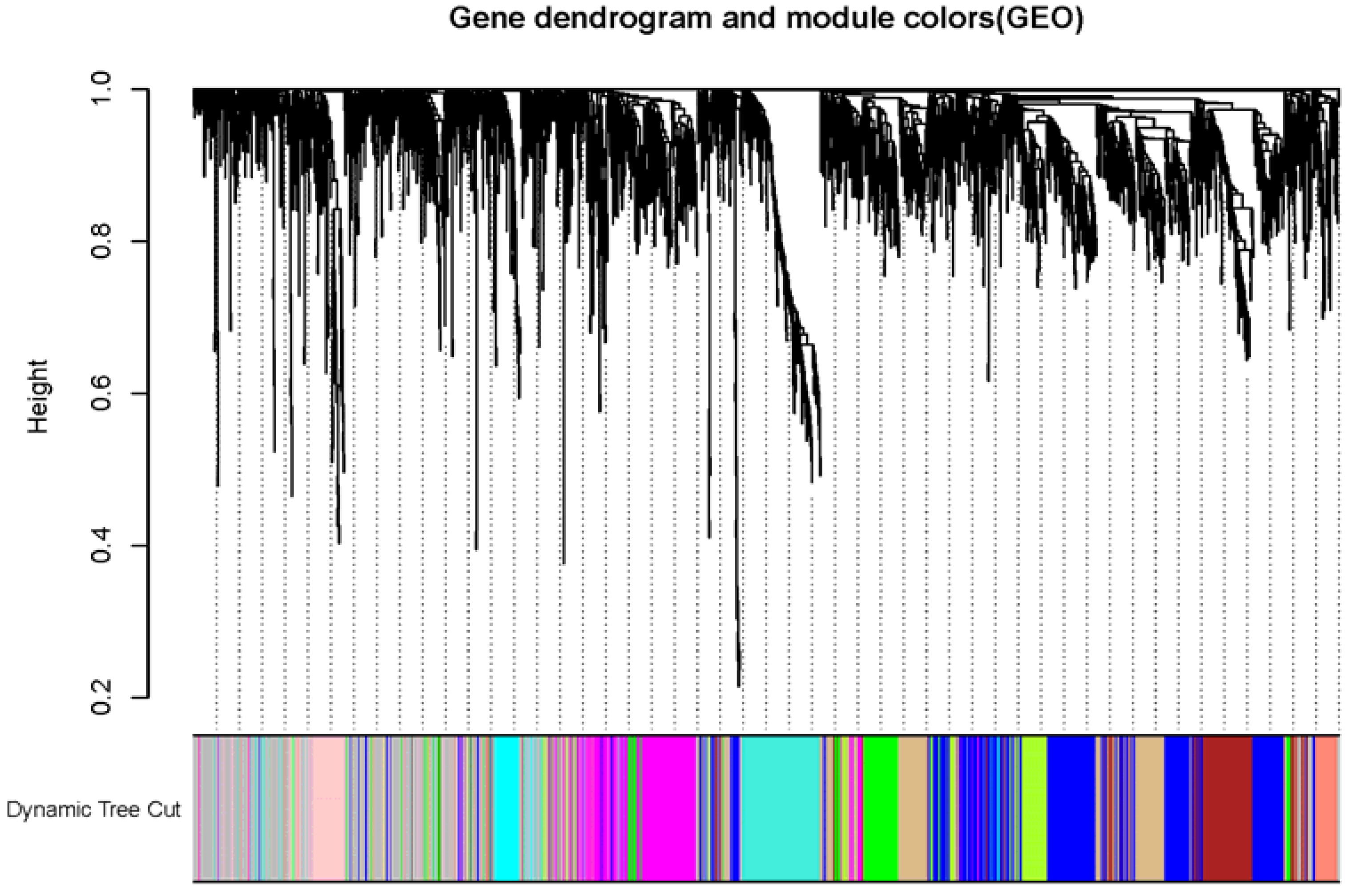 Preprints 115023 g001