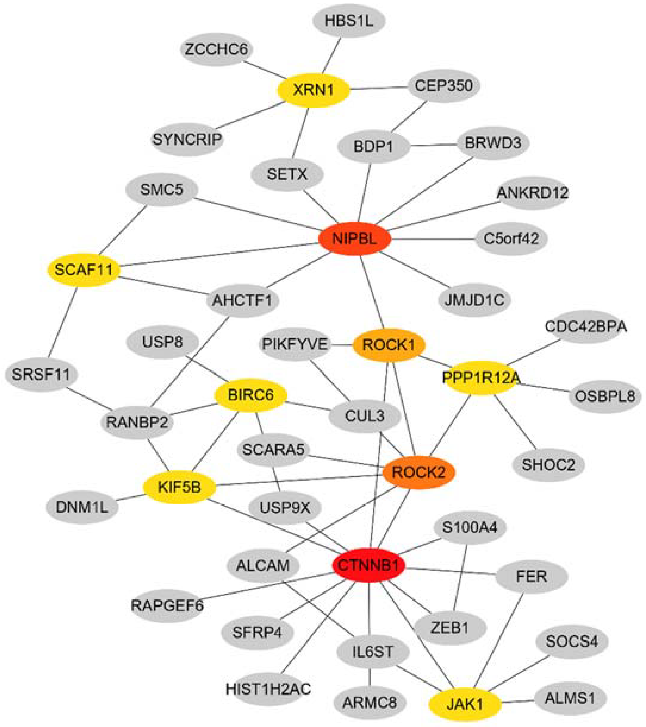 Preprints 115023 g004