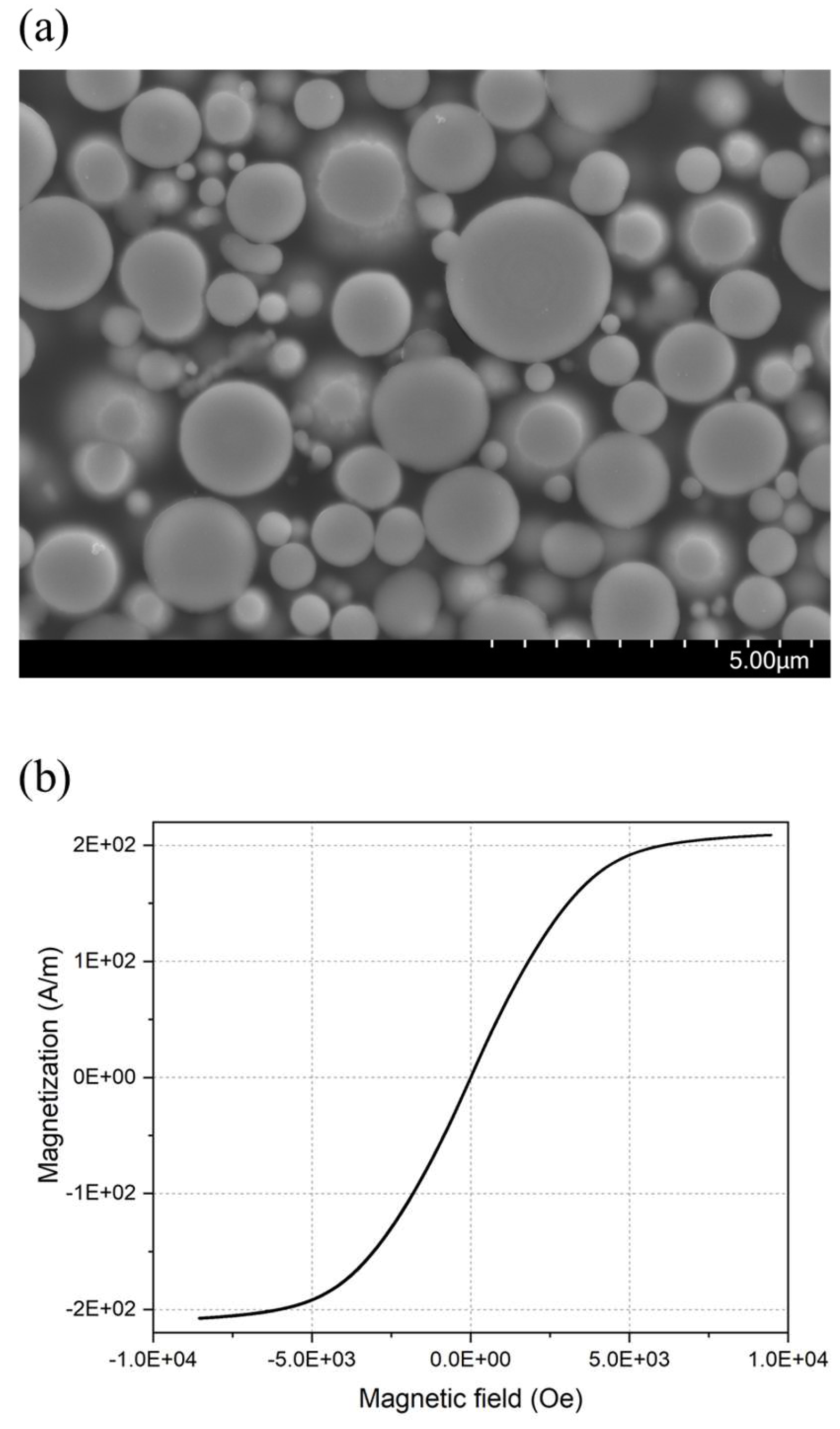 Preprints 119892 g002