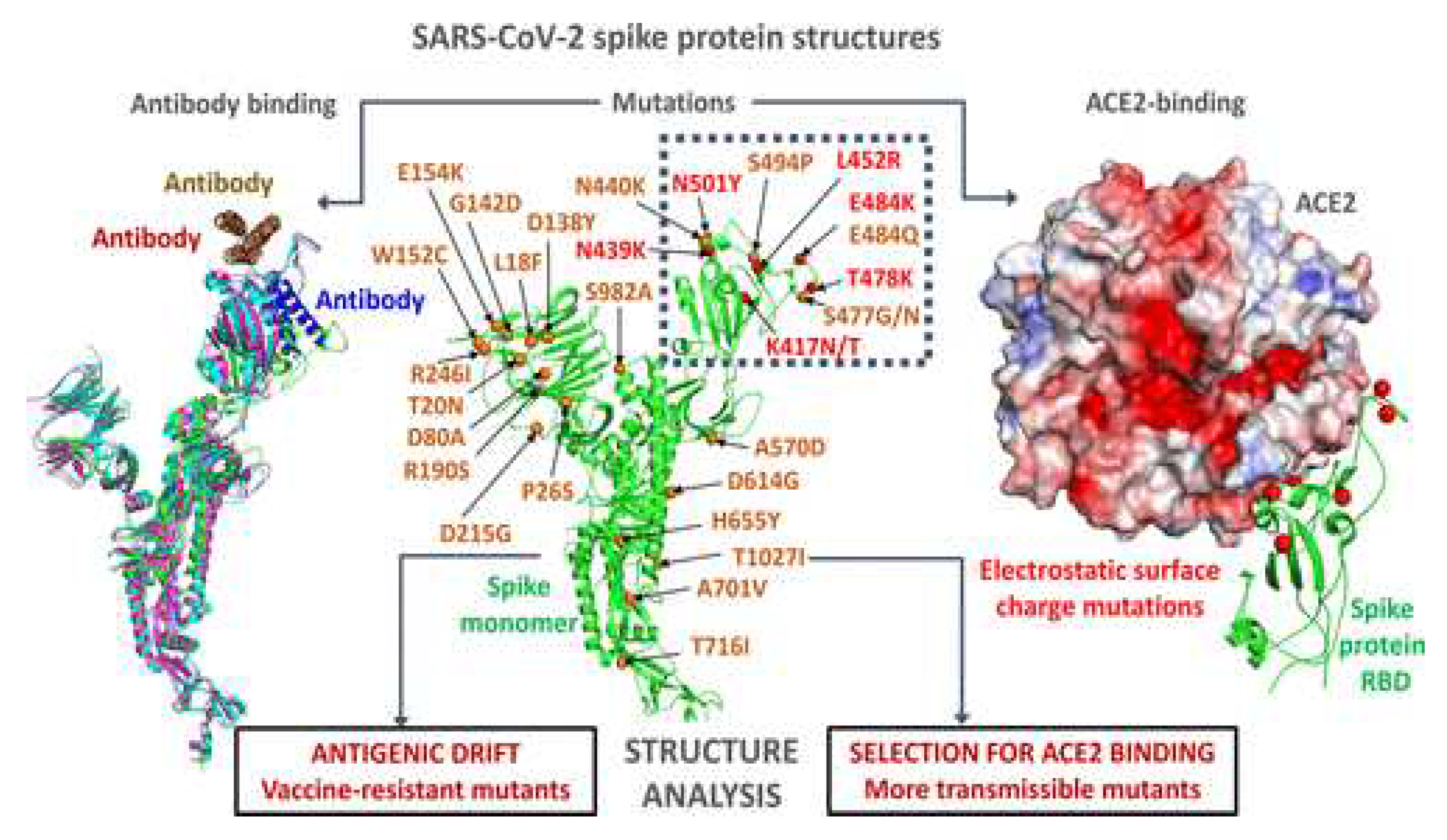 Preprints 81738 g001