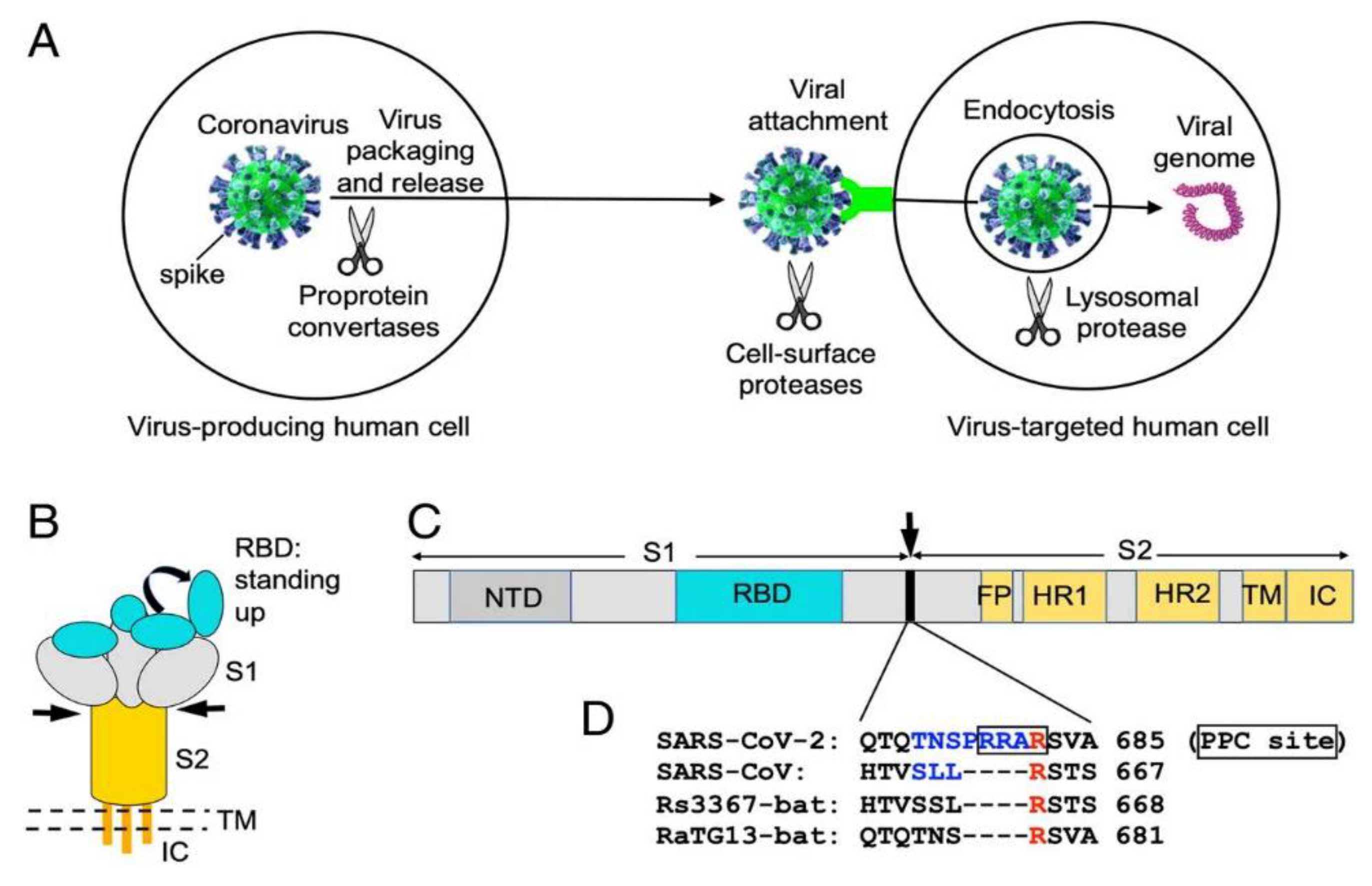 Preprints 81738 g002