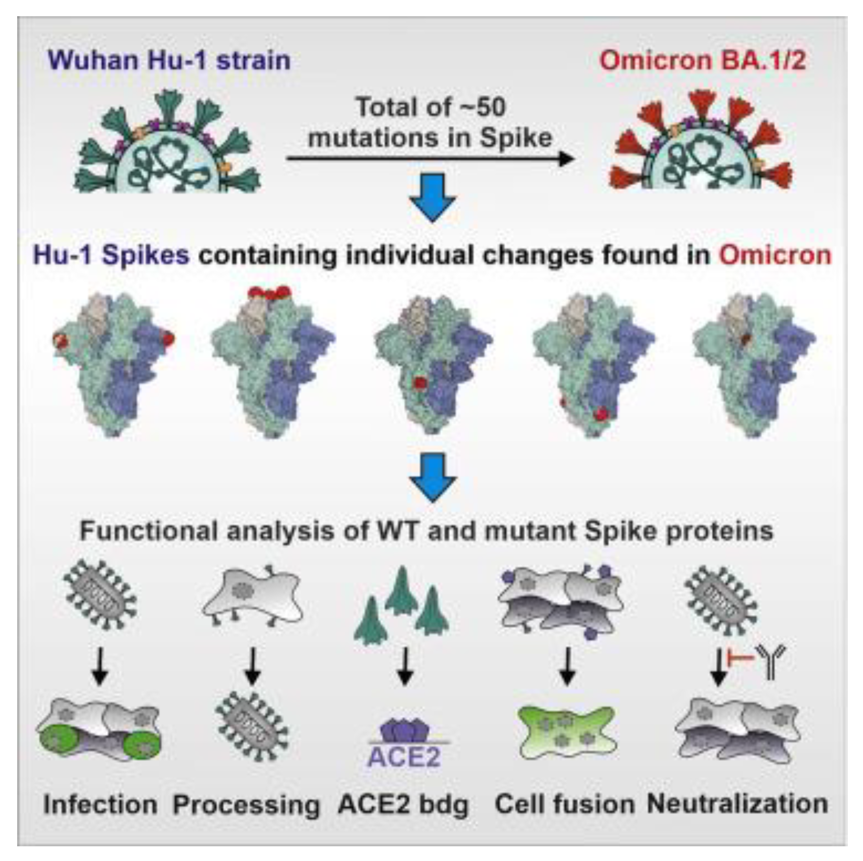 Preprints 81738 g004