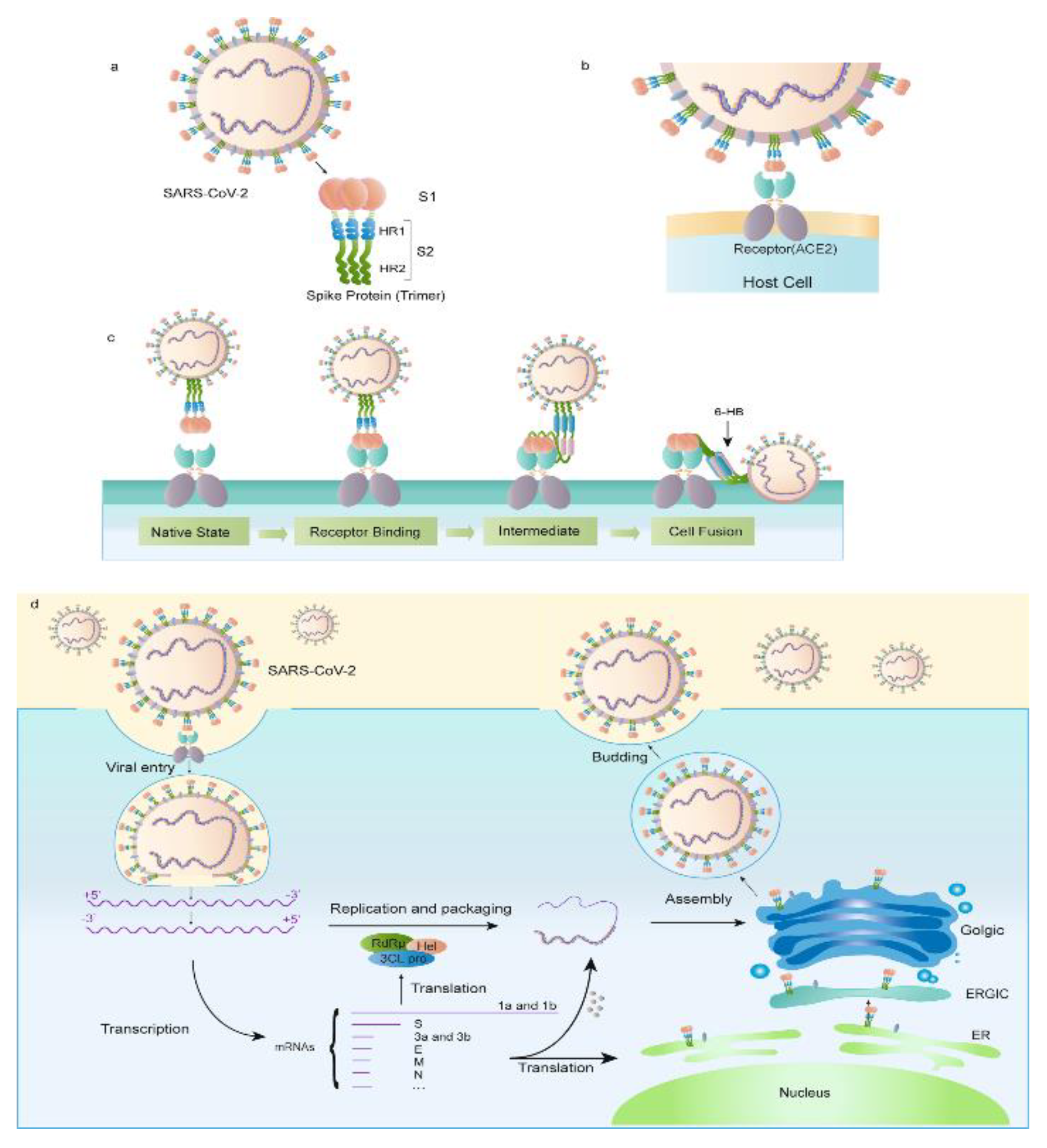 Preprints 81738 g005