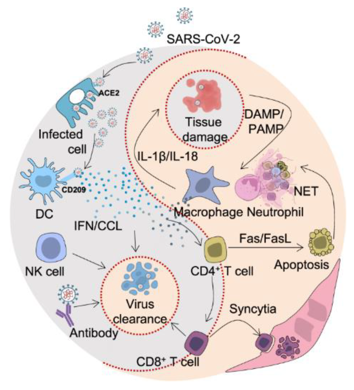 Preprints 81738 g006