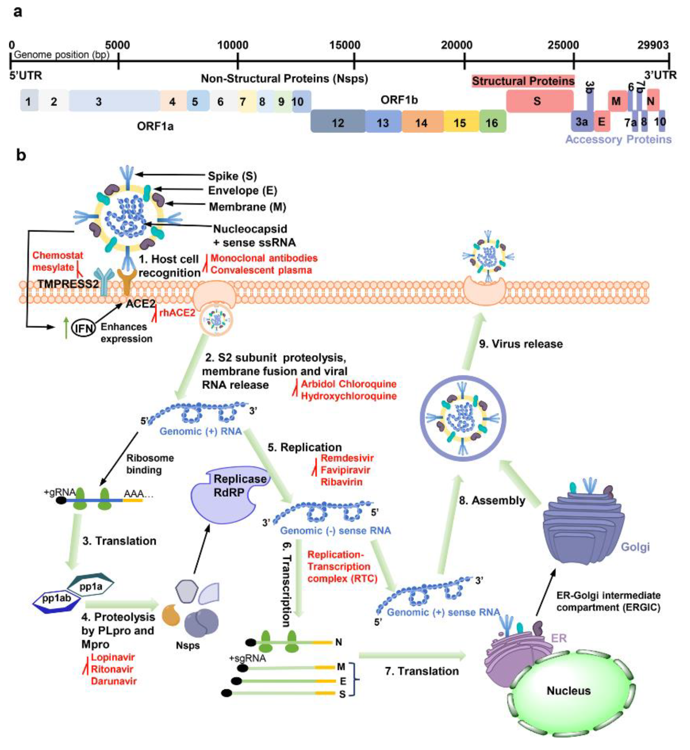 Preprints 81738 g007