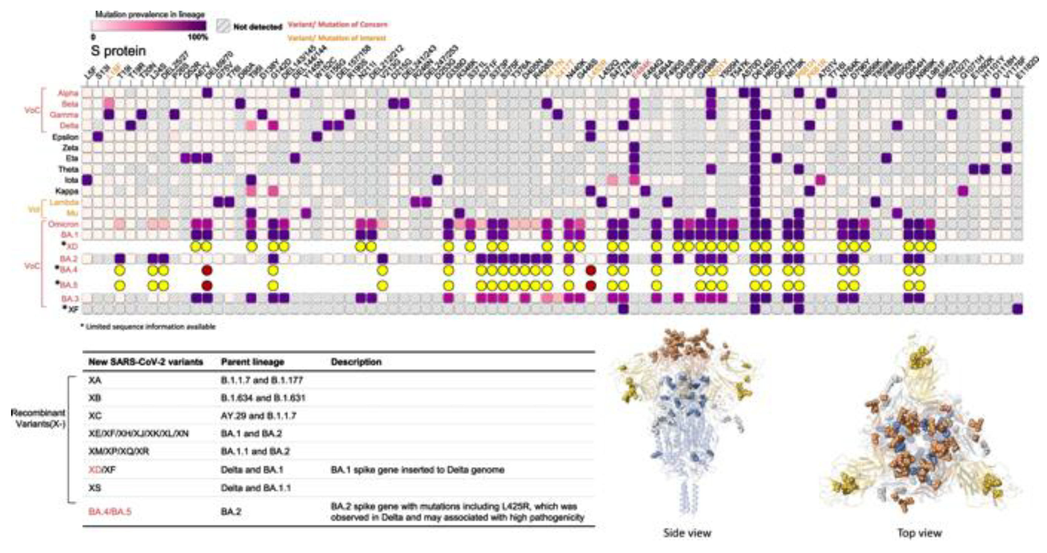 Preprints 81738 g008