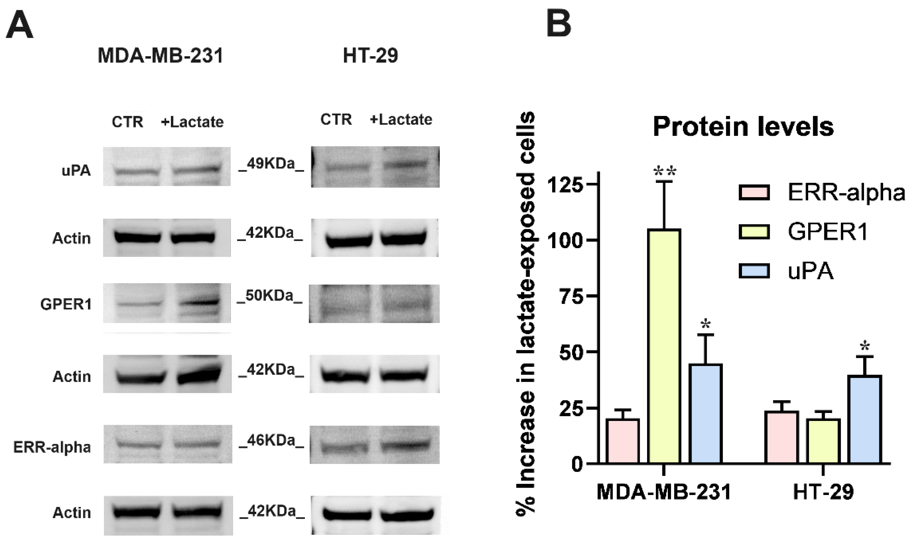 Preprints 112595 g002