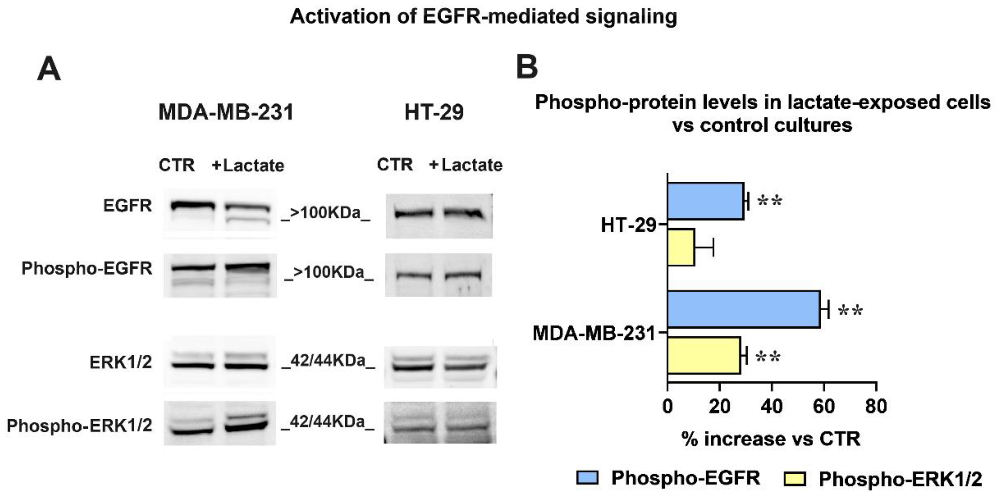 Preprints 112595 g004