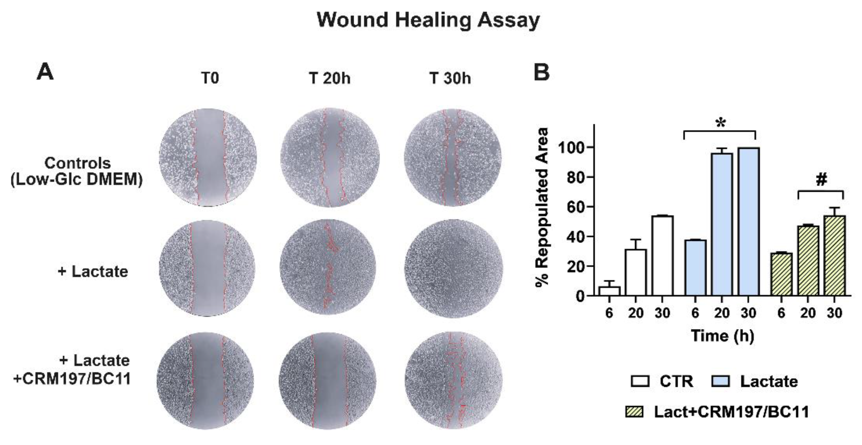 Preprints 112595 g007