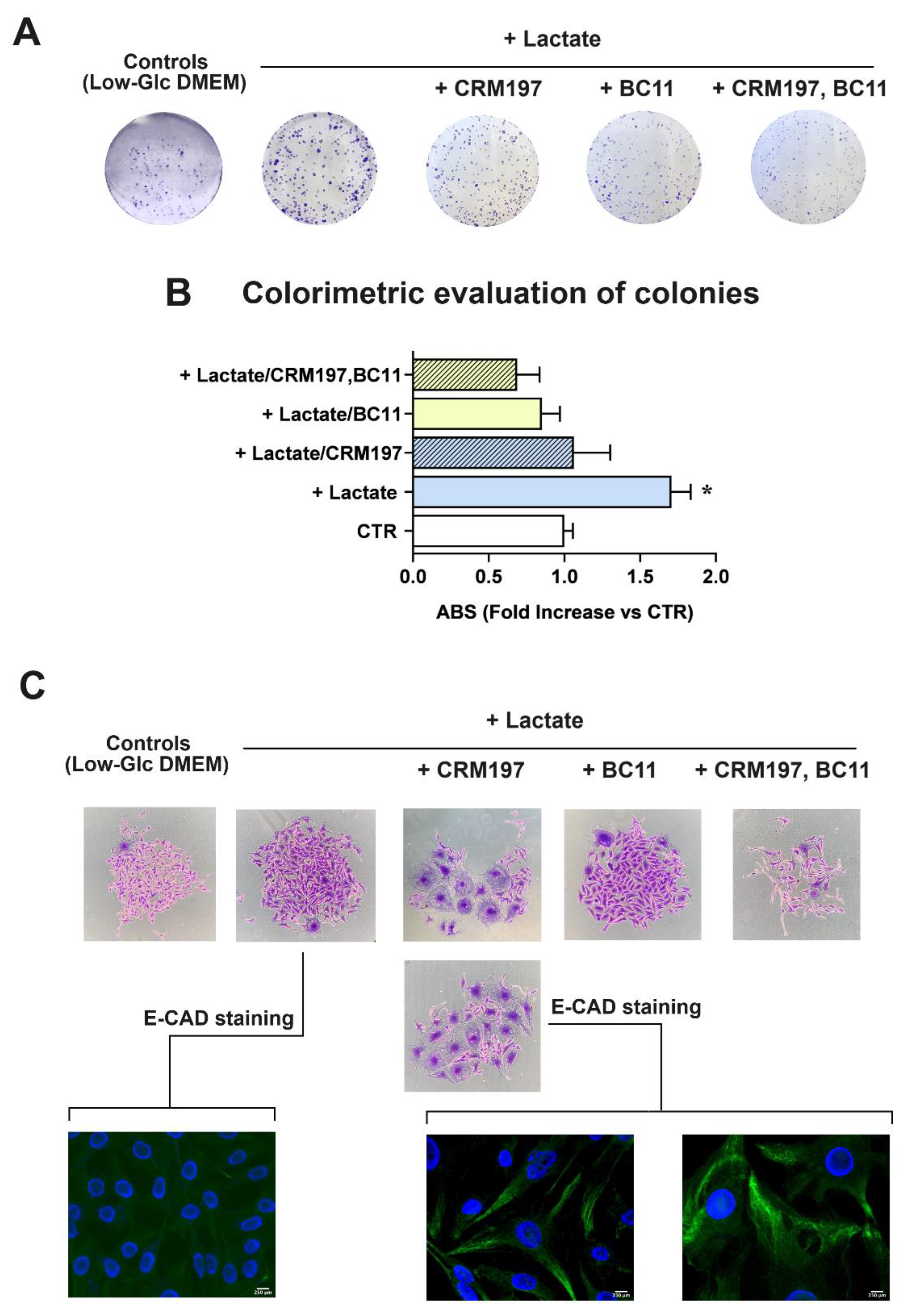 Preprints 112595 g008