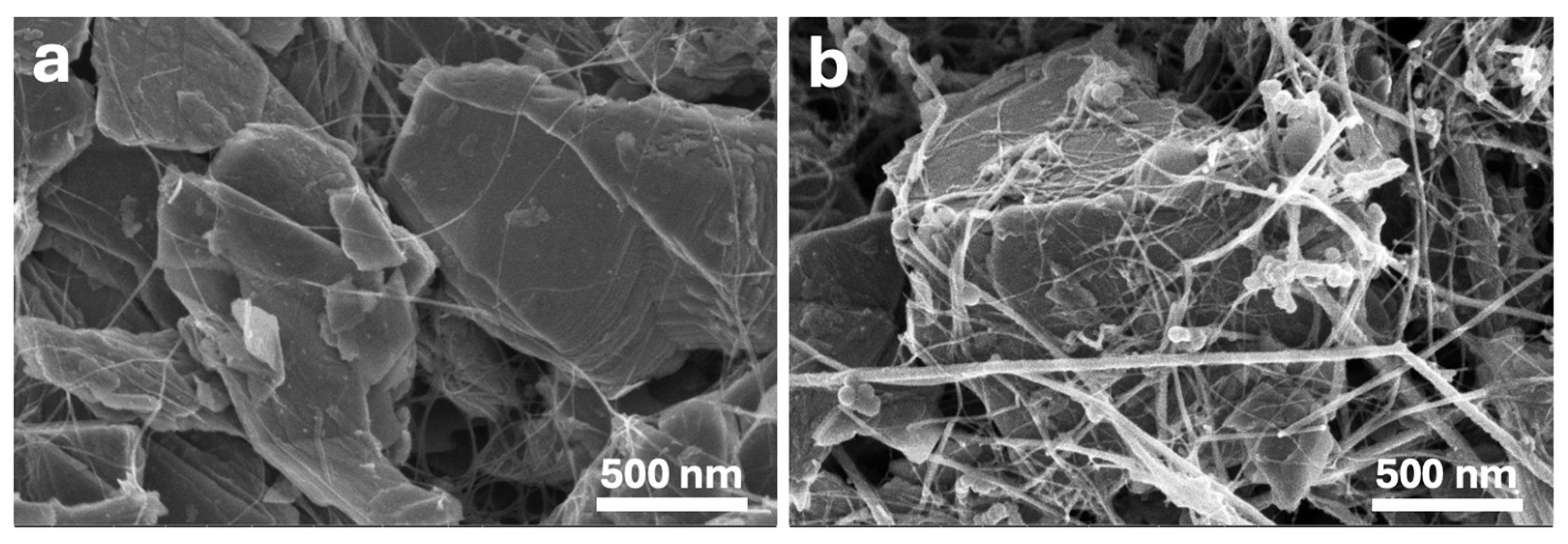 Preprints 119937 g010