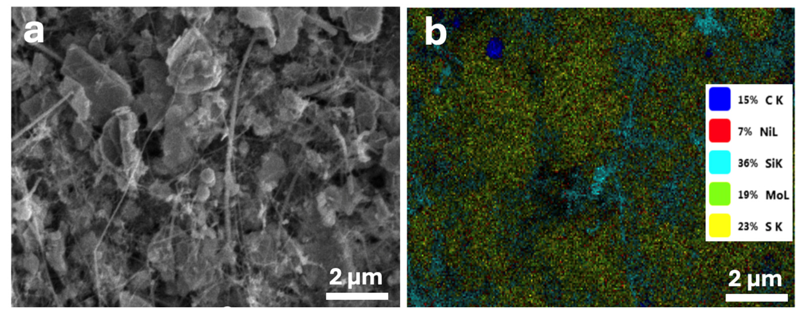 Preprints 119937 g011