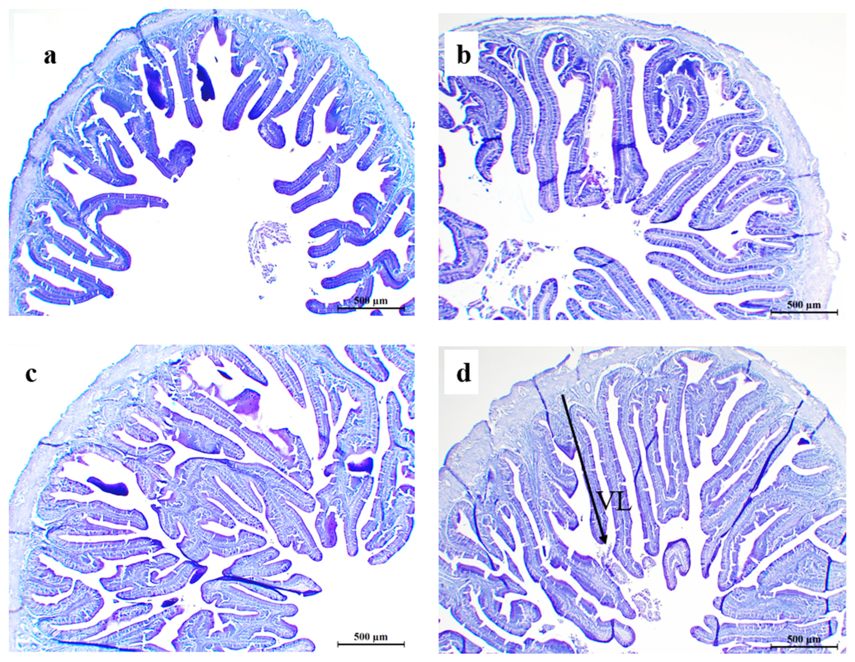 Preprints 72232 g002