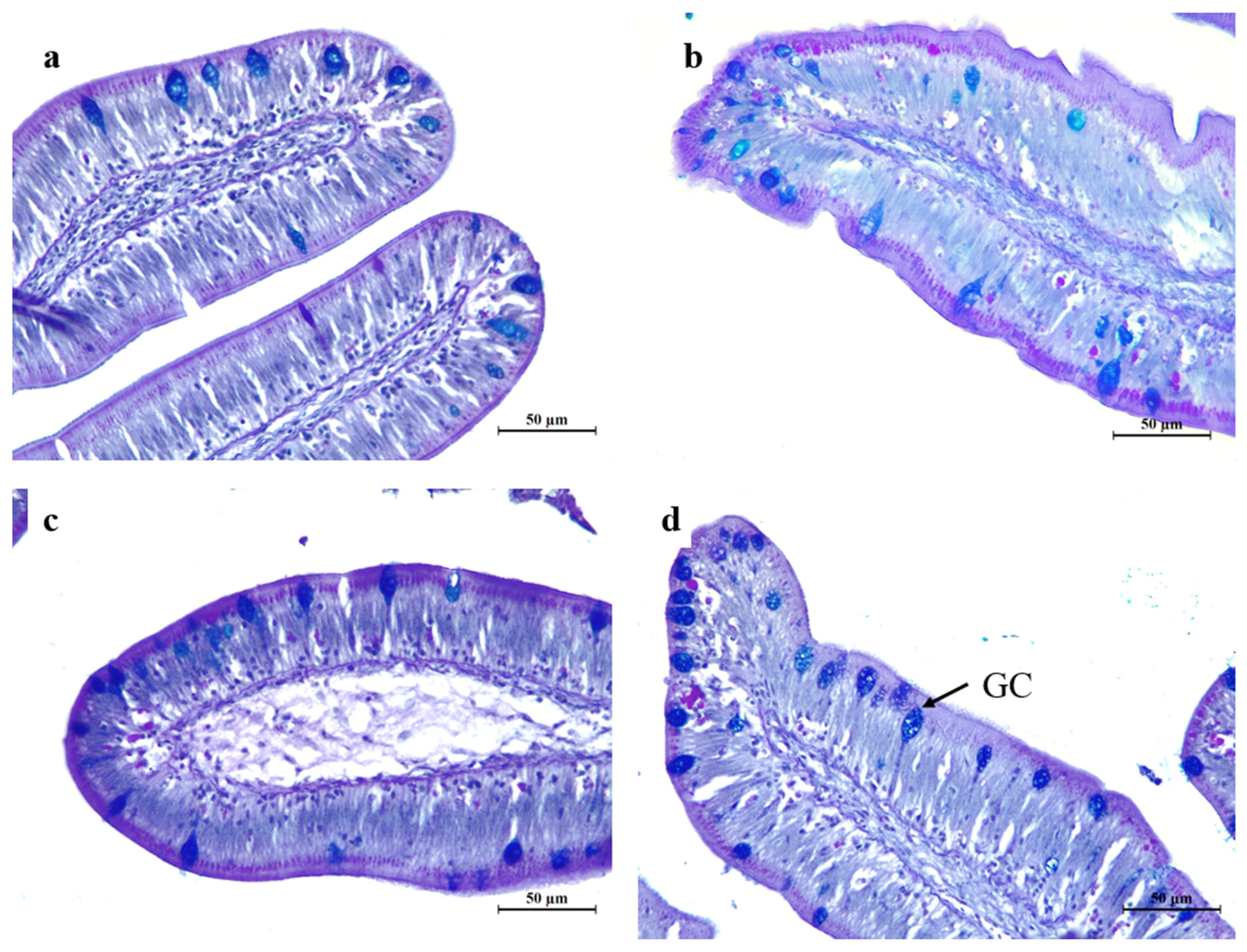 Preprints 72232 g003