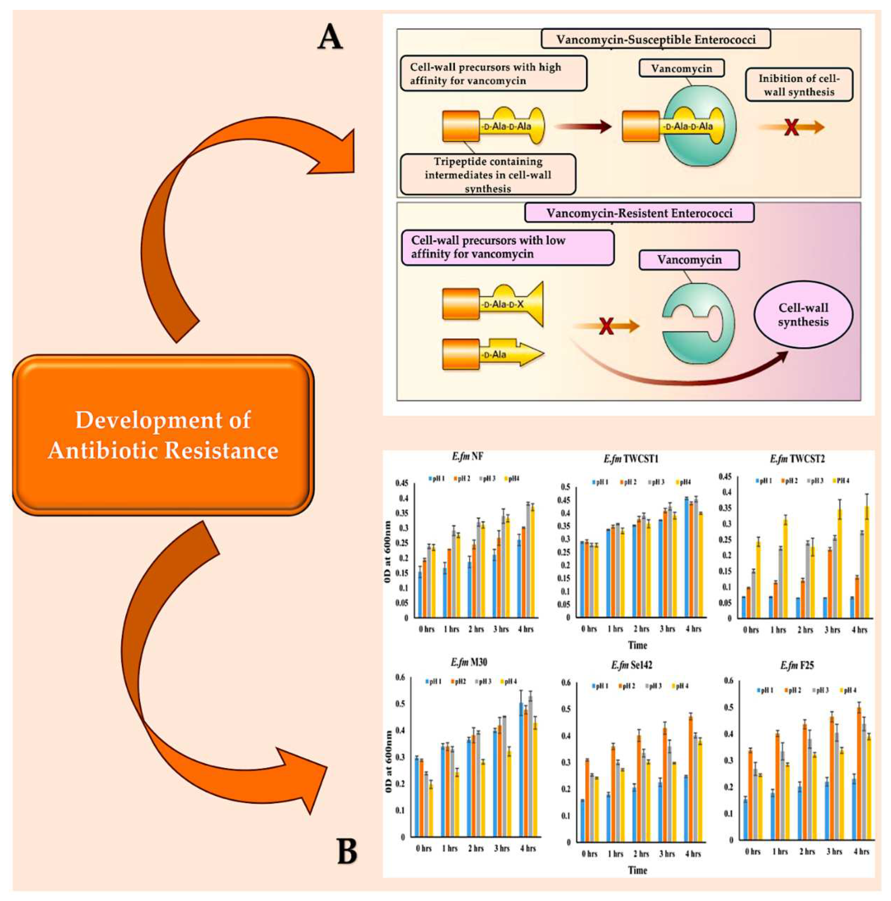 Preprints 98131 g002