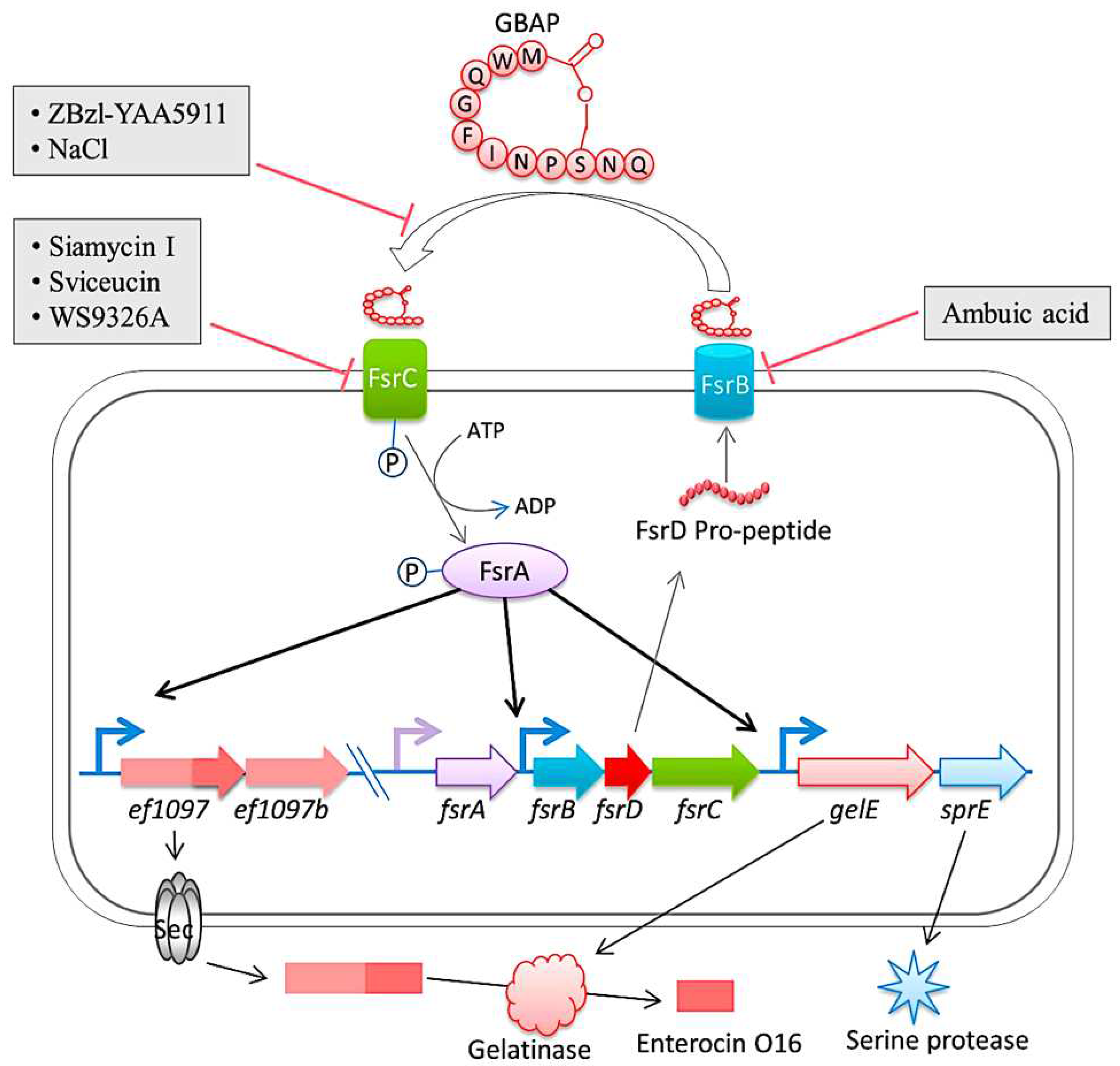 Preprints 98131 g005