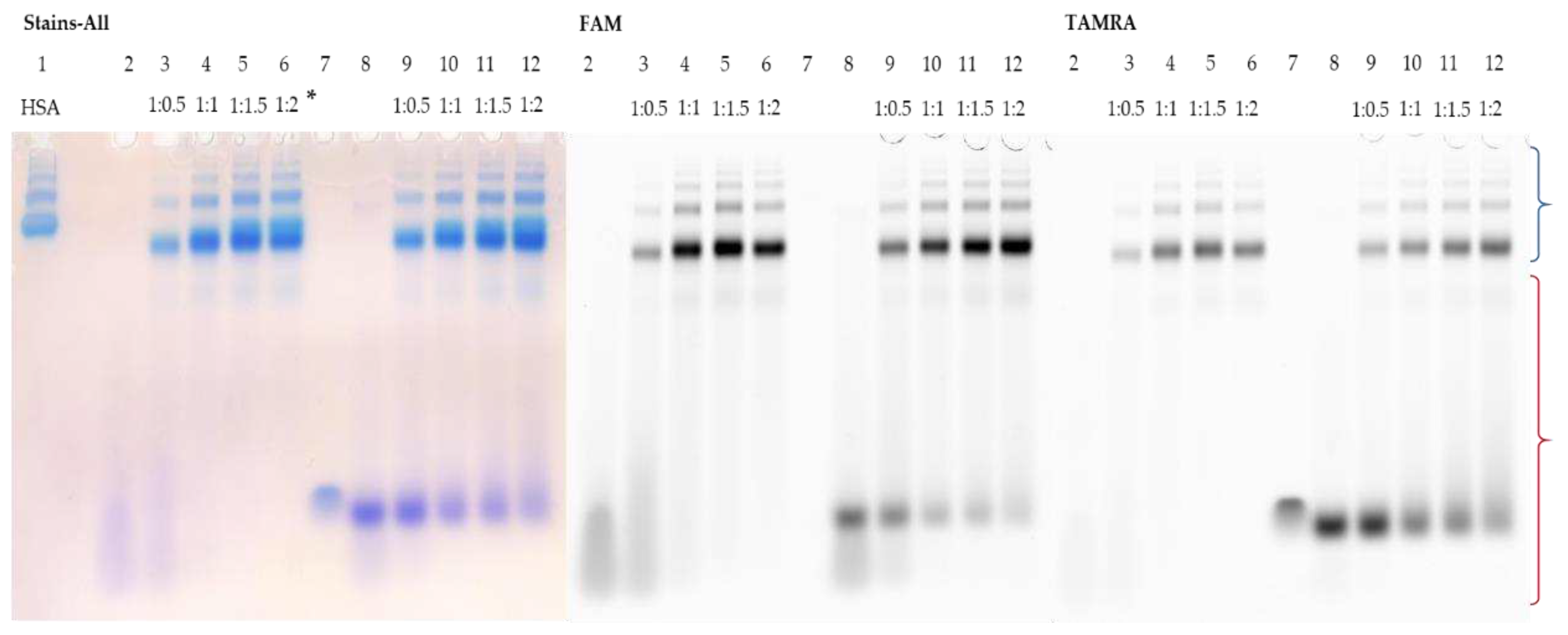 Preprints 92964 g002