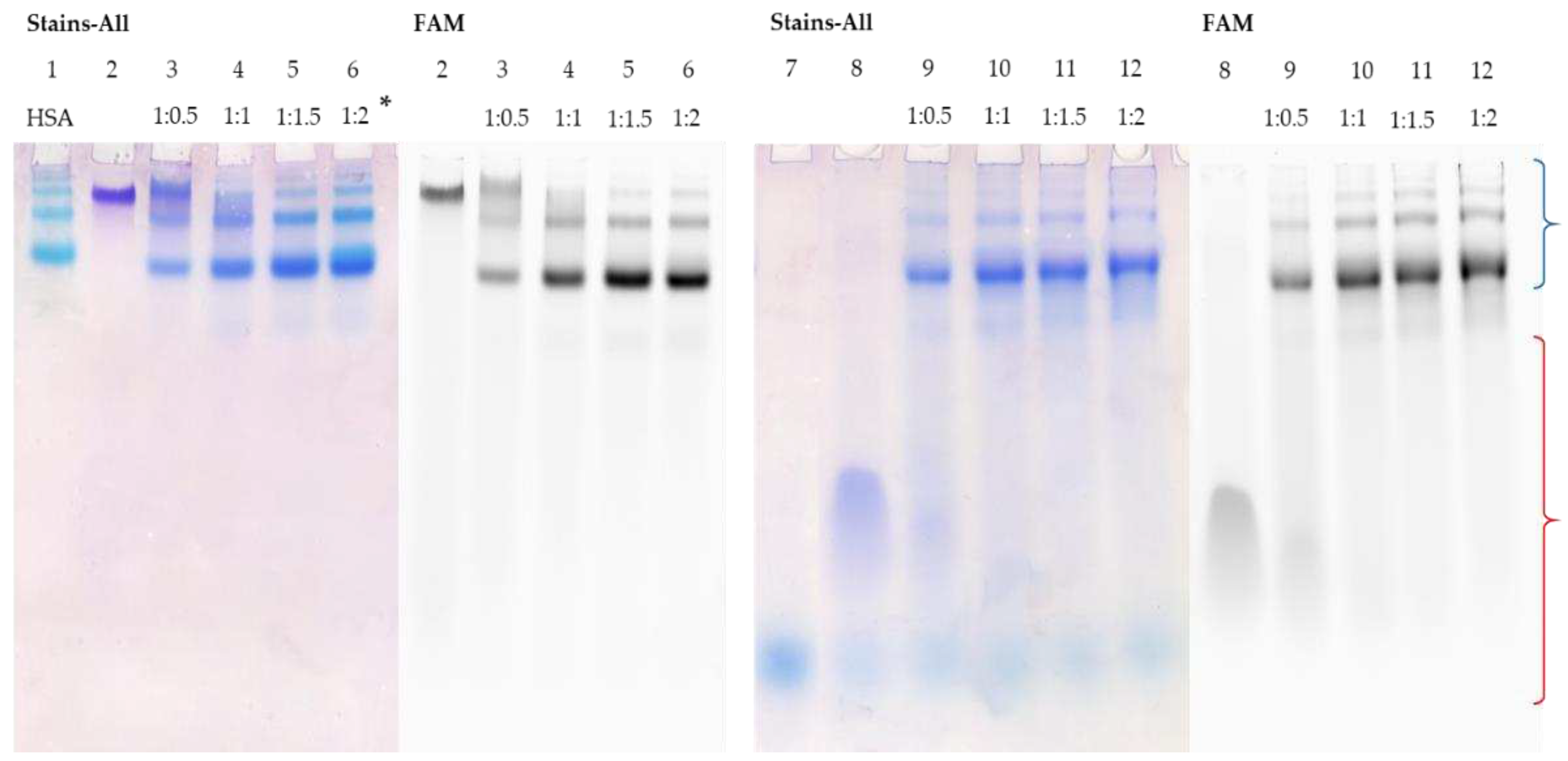 Preprints 92964 g003