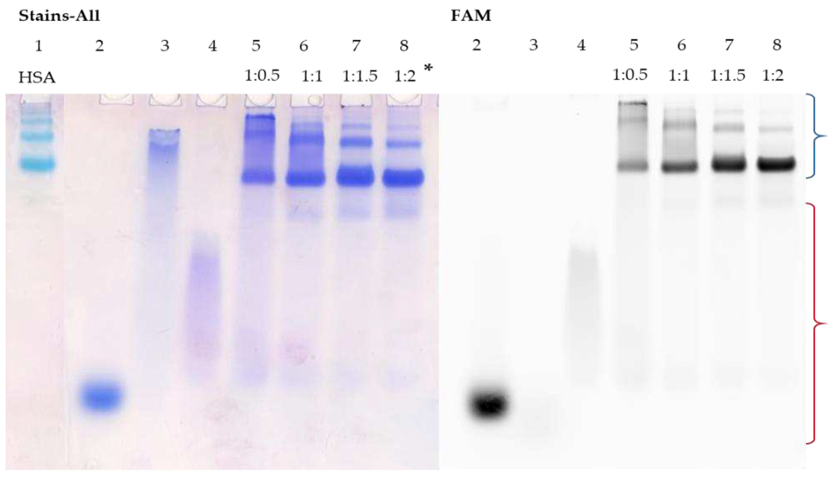 Preprints 92964 g004