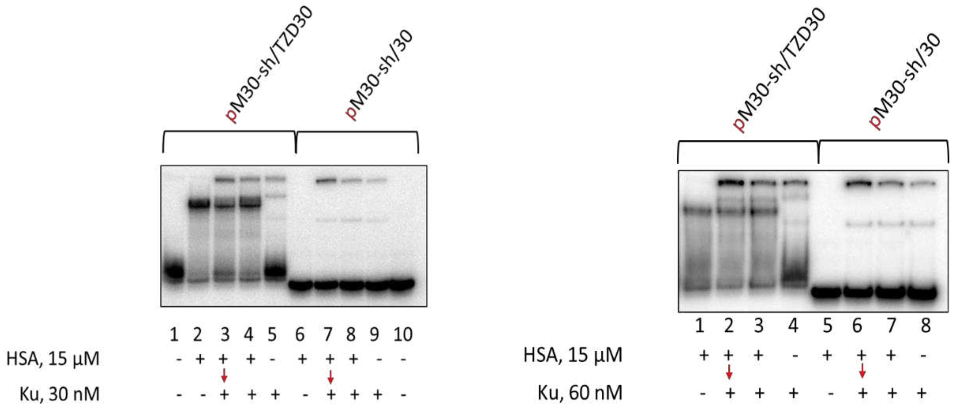 Preprints 92964 g005