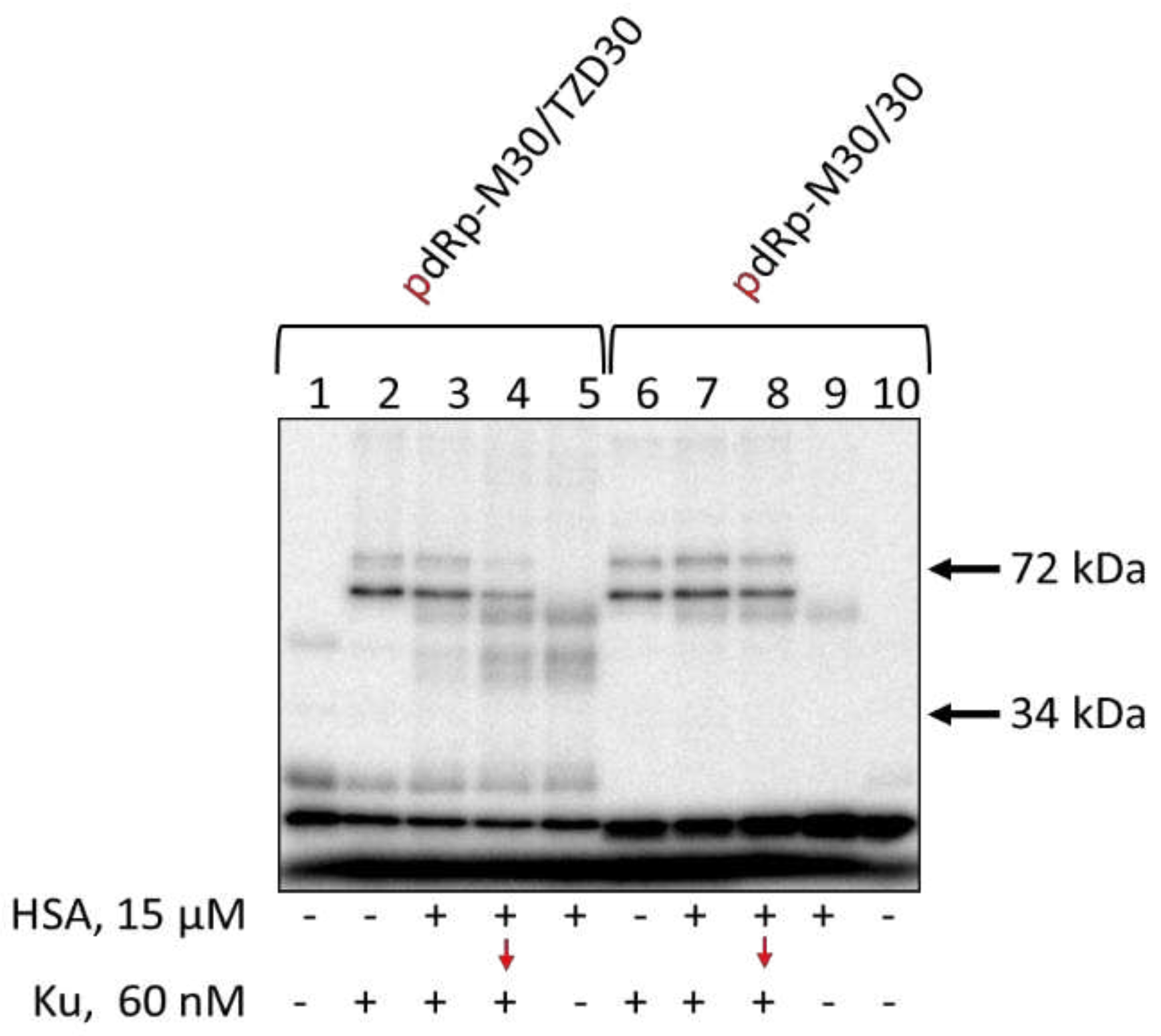 Preprints 92964 g006