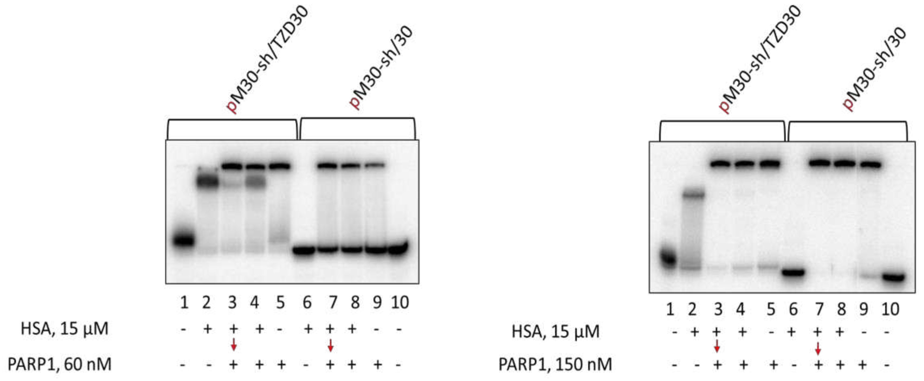 Preprints 92964 g007