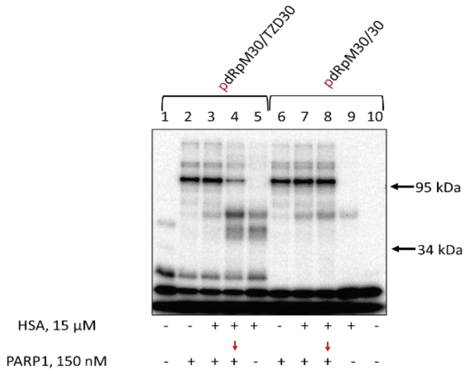 Preprints 92964 g008