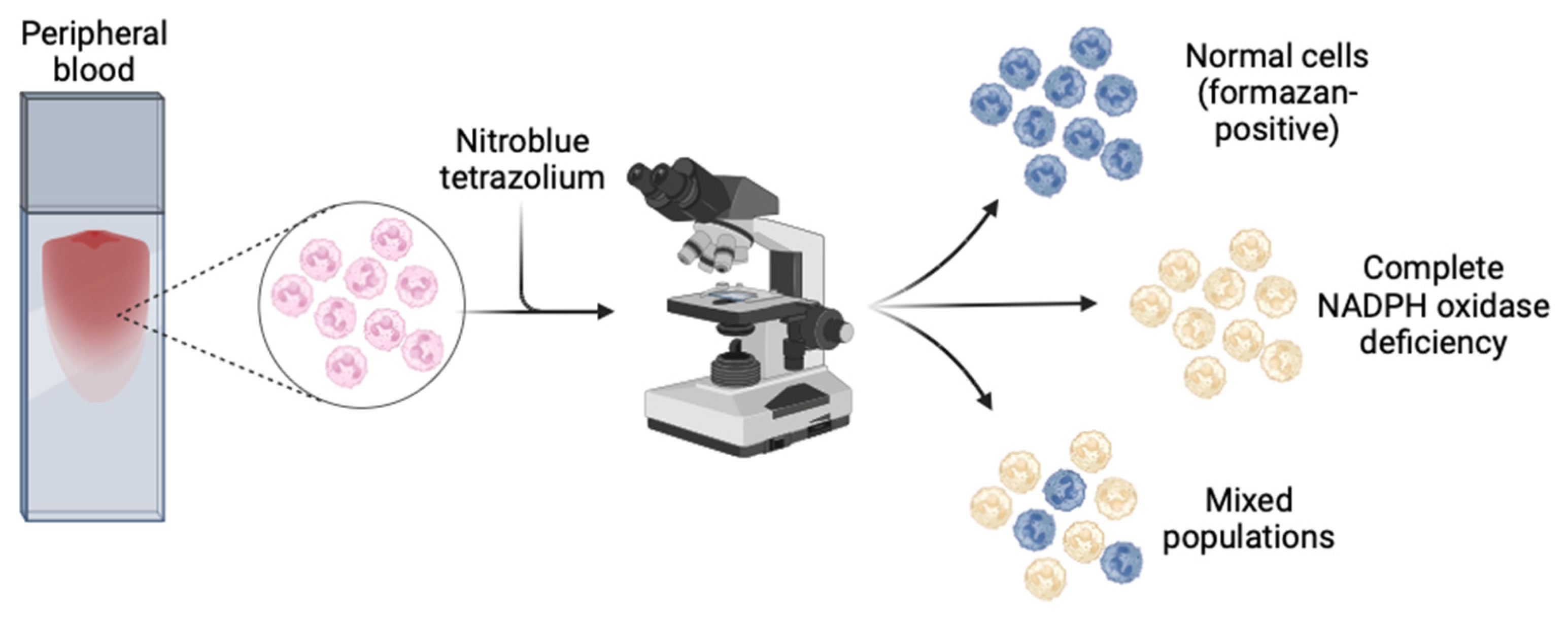 Preprints 112485 g003